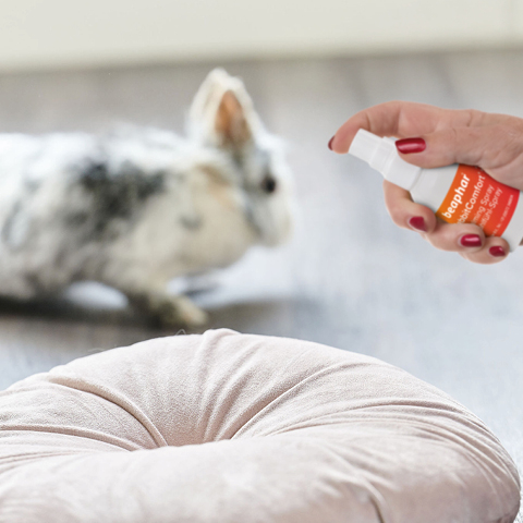 RabbitComfort Calming Spray