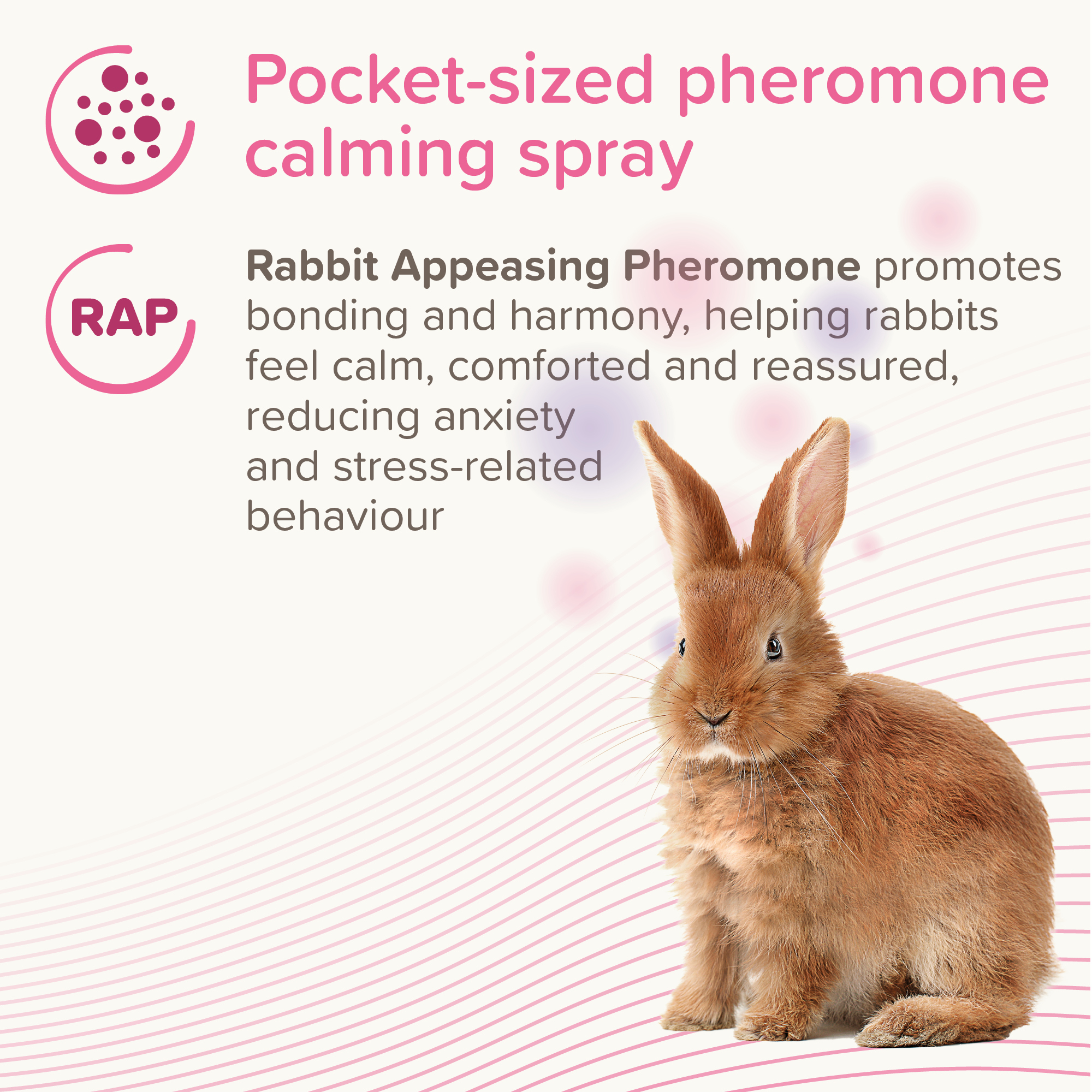 Beaphar RabbitComfort® Calming Spray, 30ml