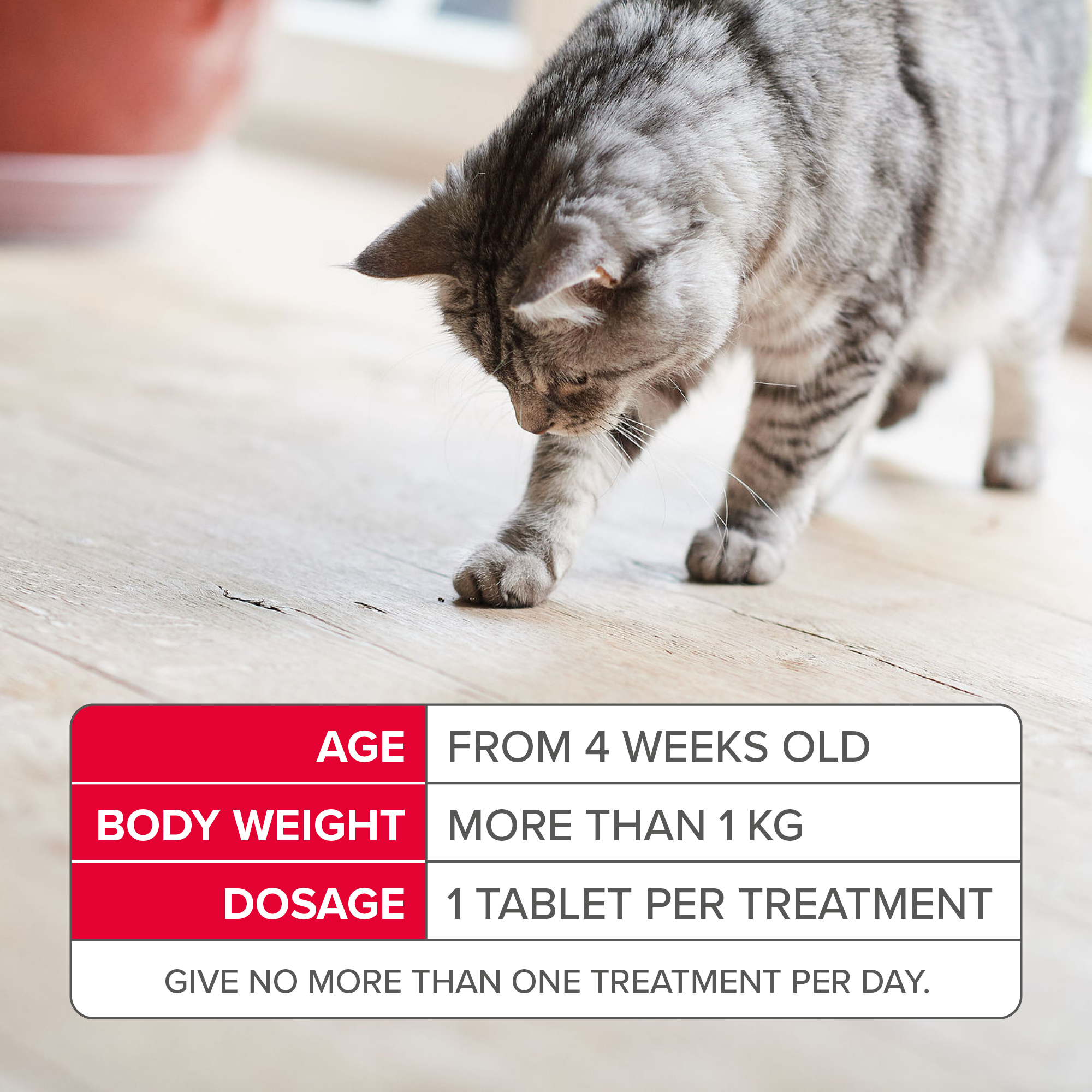 Beaphar Flea Tablets for Cats – 6 tablets