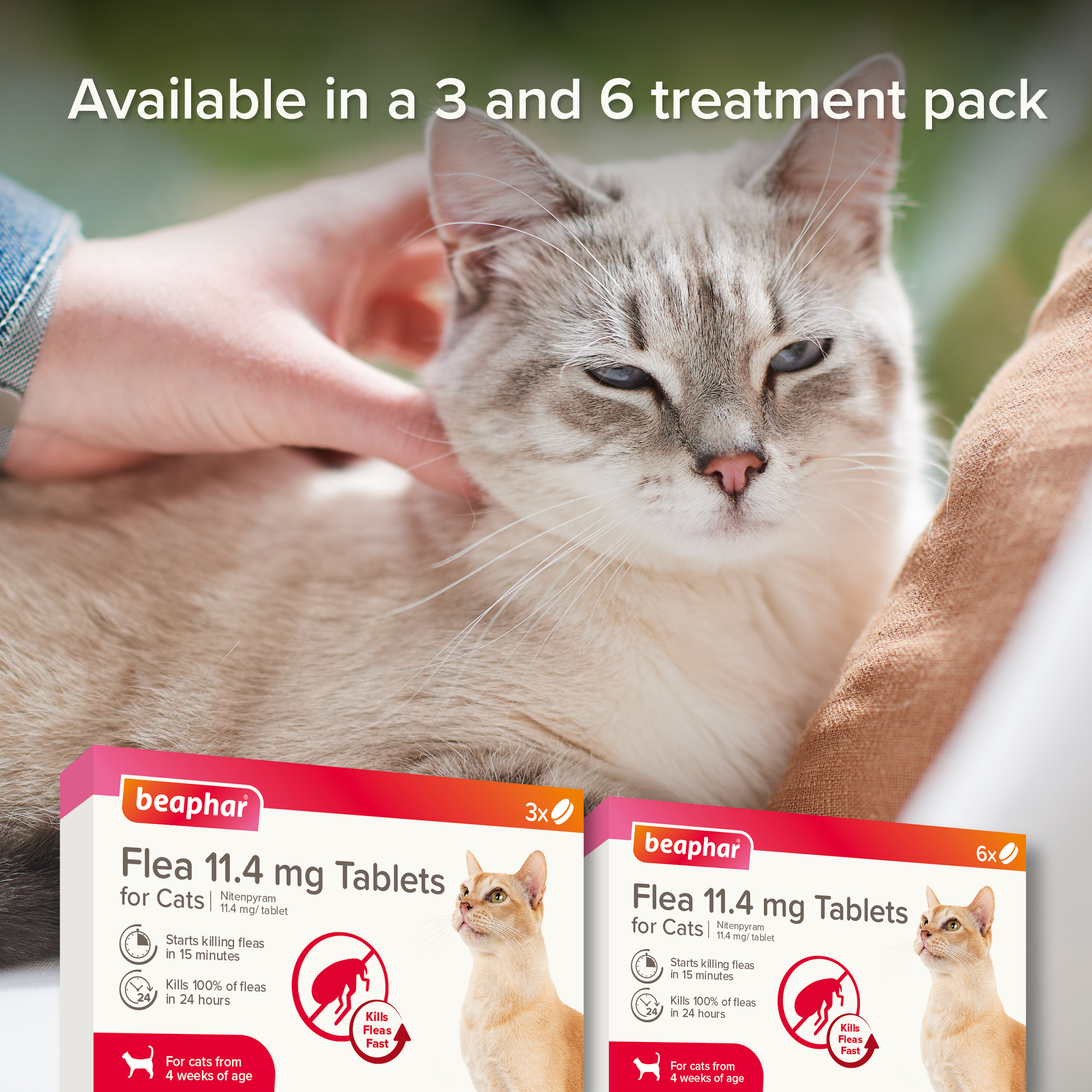 Beaphar Flea Tablets for Cats – 6 tablets