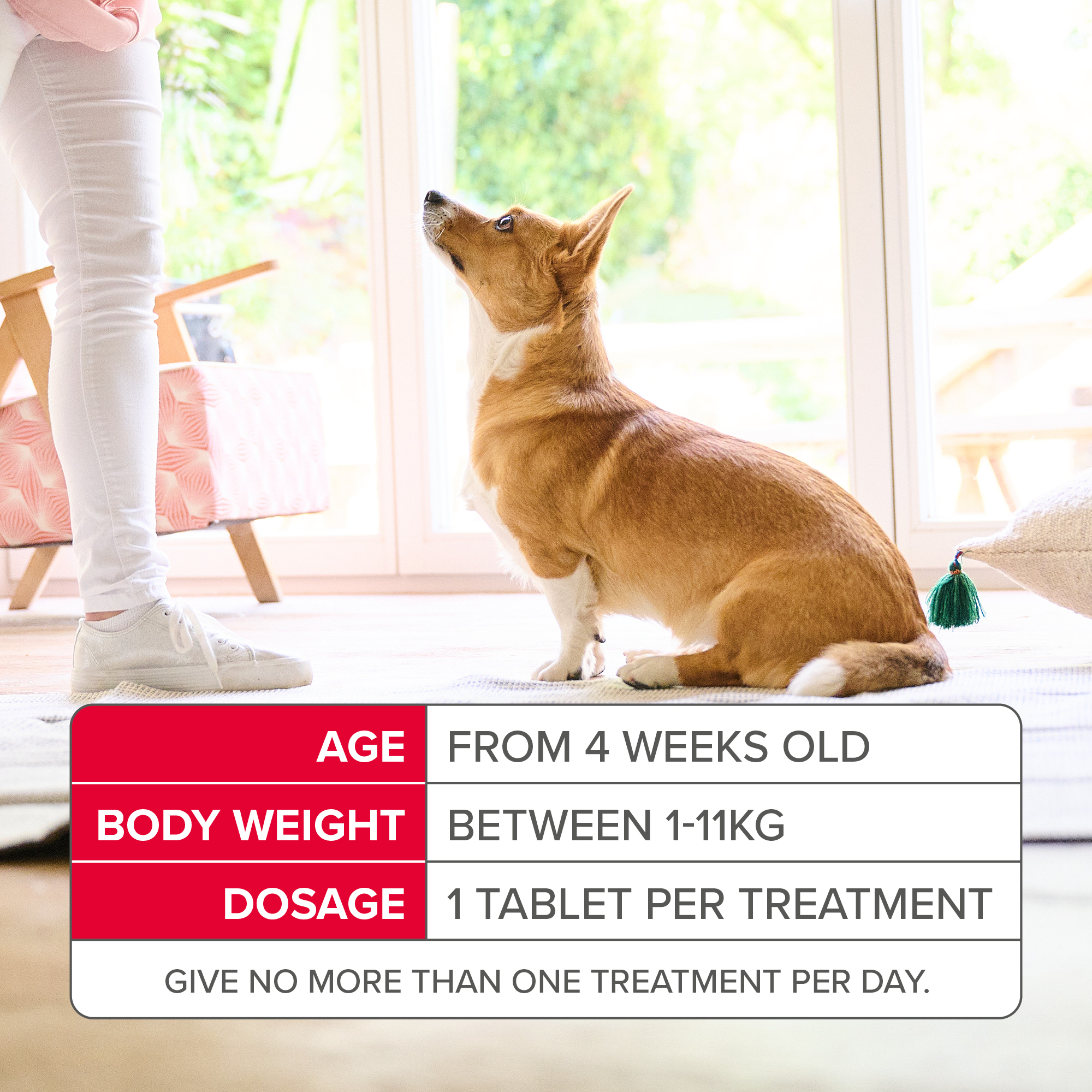 Beaphar Flea Tablets for Small Dogs – 3 tablets