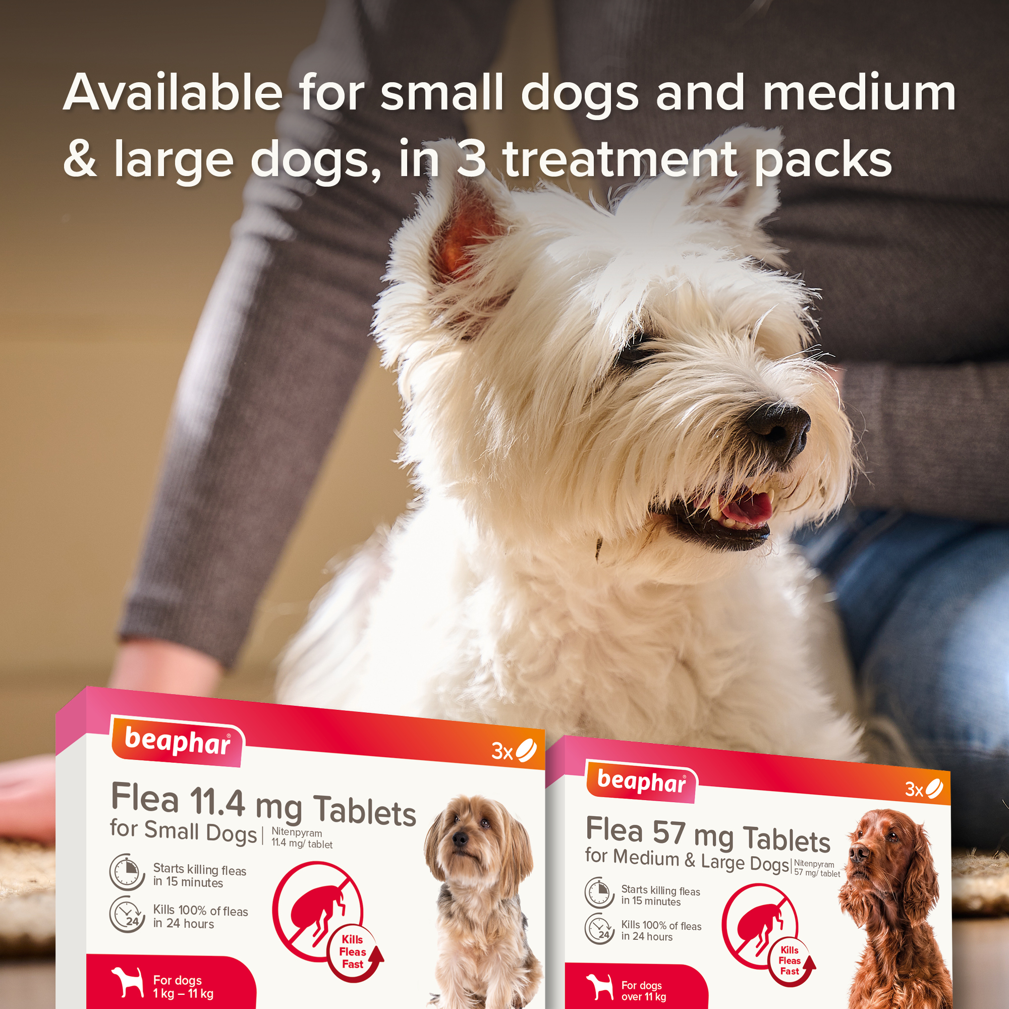Beaphar Flea Tablets for Small Dogs – 3 tablets