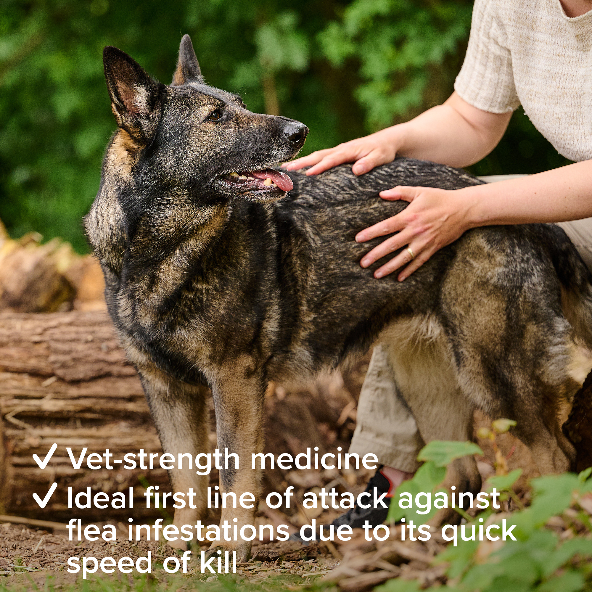 Beaphar Flea Tablets for Medium & Large Dogs – 3 tablets