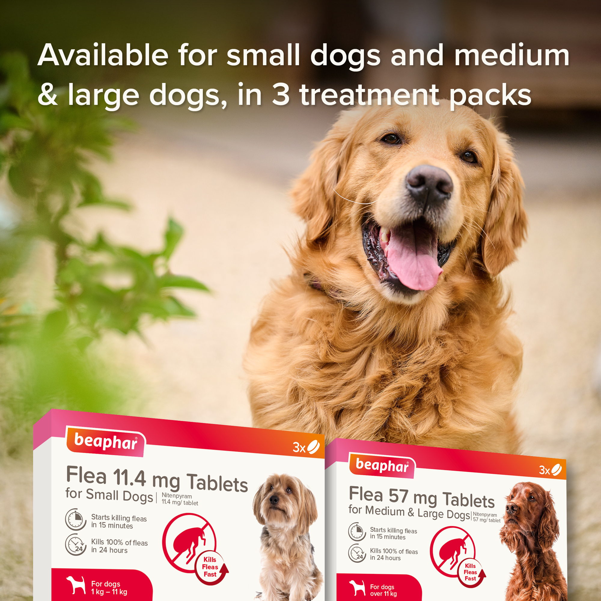 Beaphar Flea Tablets for Medium & Large Dogs – 3 tablets