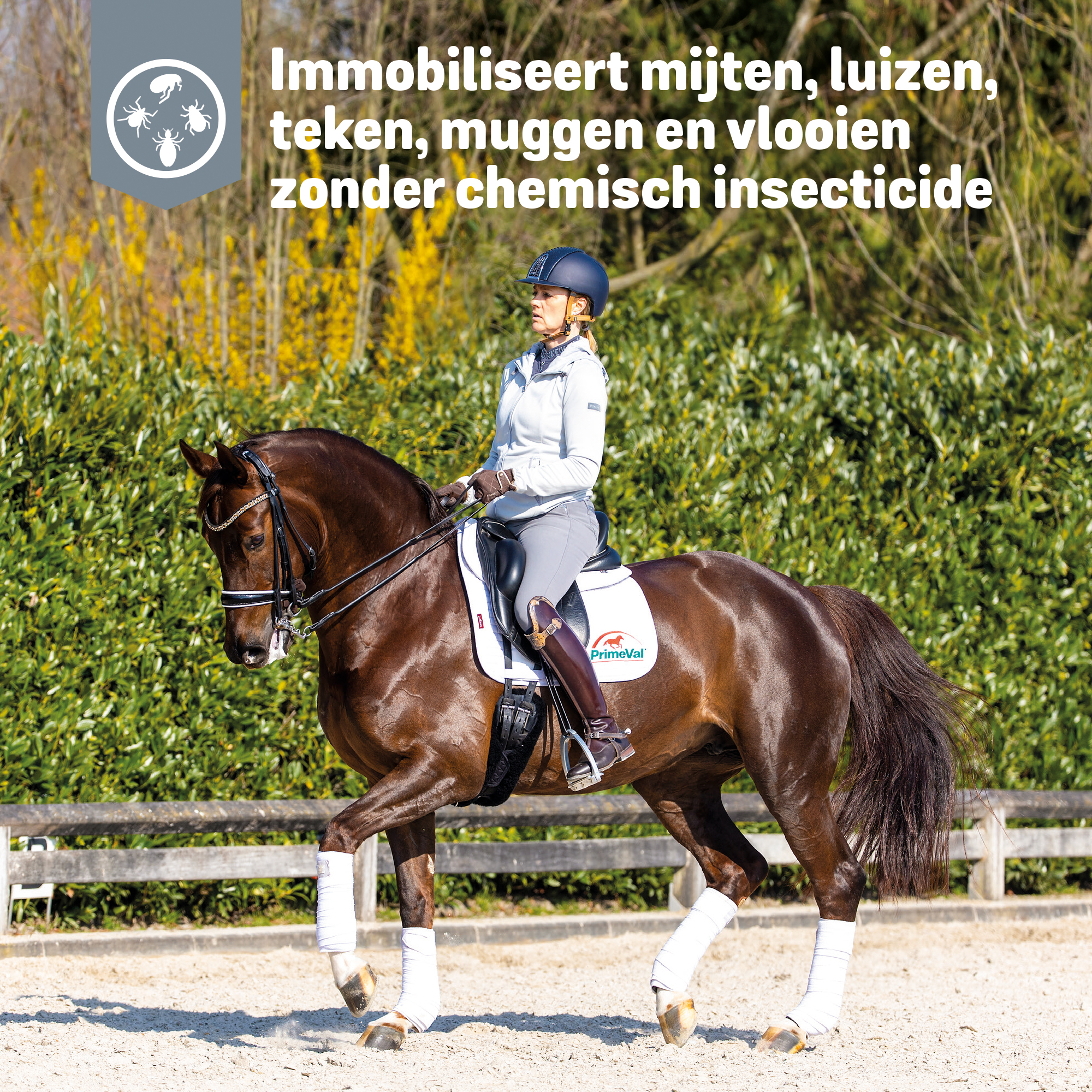 PrimeVal Parasite Spray 500ml