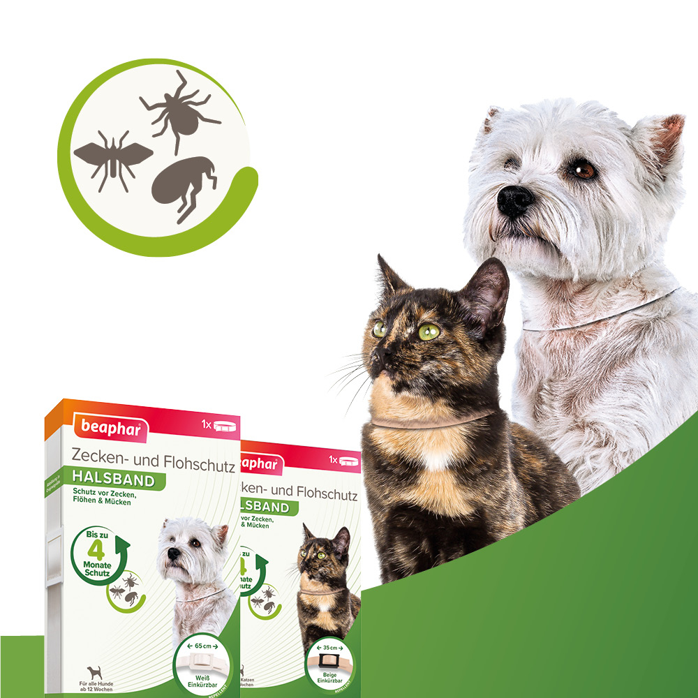 Beaphar Zecken- und Flohschutz Halsband 35cm, Katze, beige