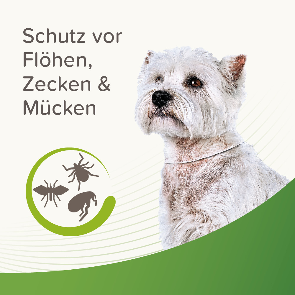 Beaphar Zecken- und Flohschutz Halsband Weiß 65cm, Hund