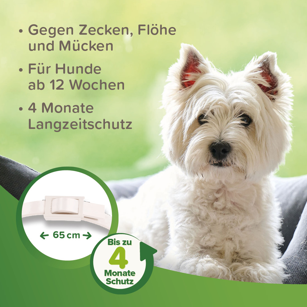 Beaphar Zecken- und Flohschutz Halsband Weiß 65cm, Hund