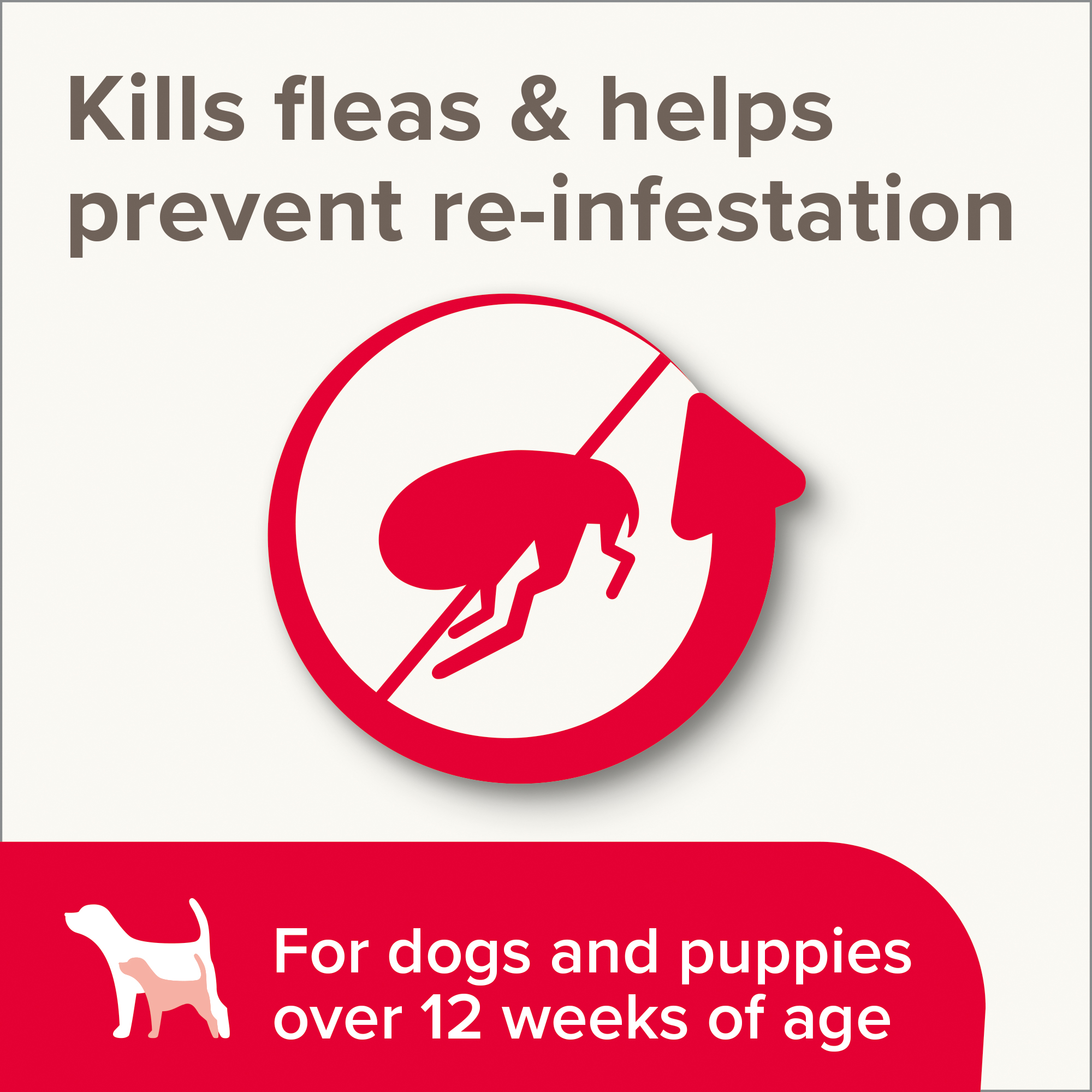 Beaphar Insecticidal Shampoo for Dogs