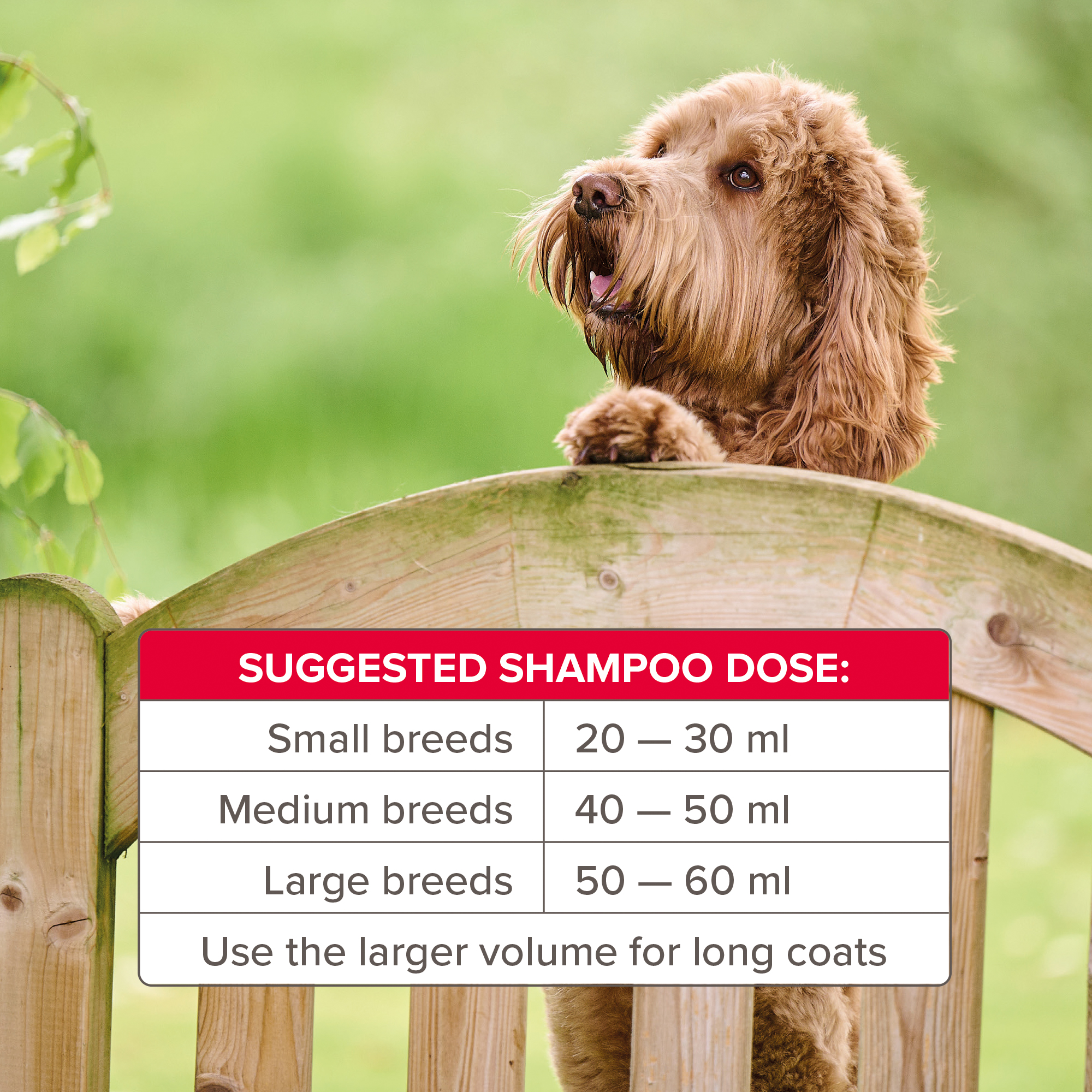 Beaphar Insecticidal Shampoo for Dogs