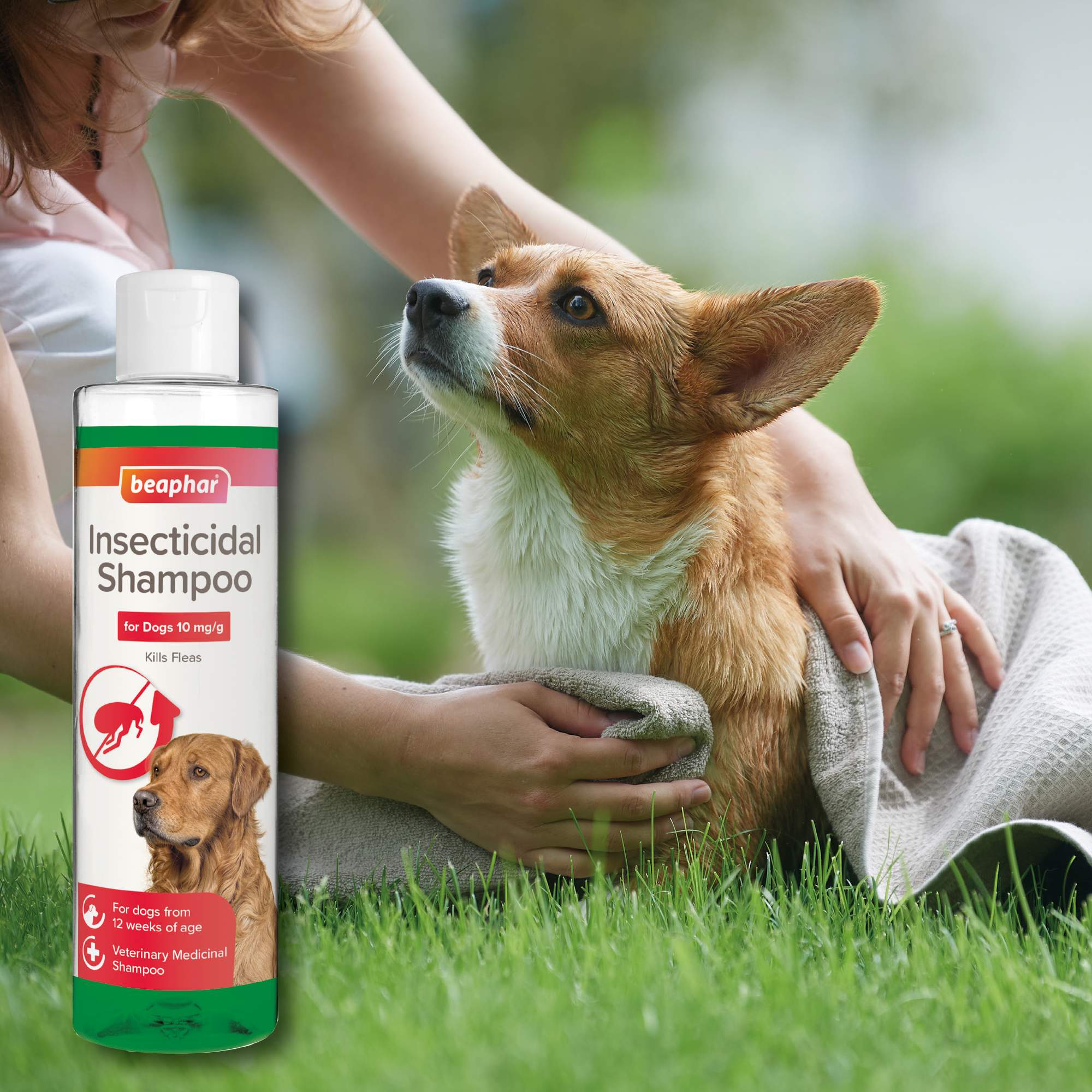 Beaphar Insecticidal Shampoo for Dogs