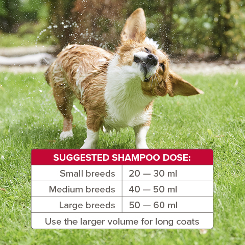 Beaphar Insecticidal Shampoo for Dogs