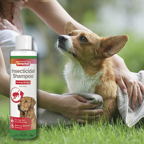 Beaphar Insecticidal Shampoo for Dogs