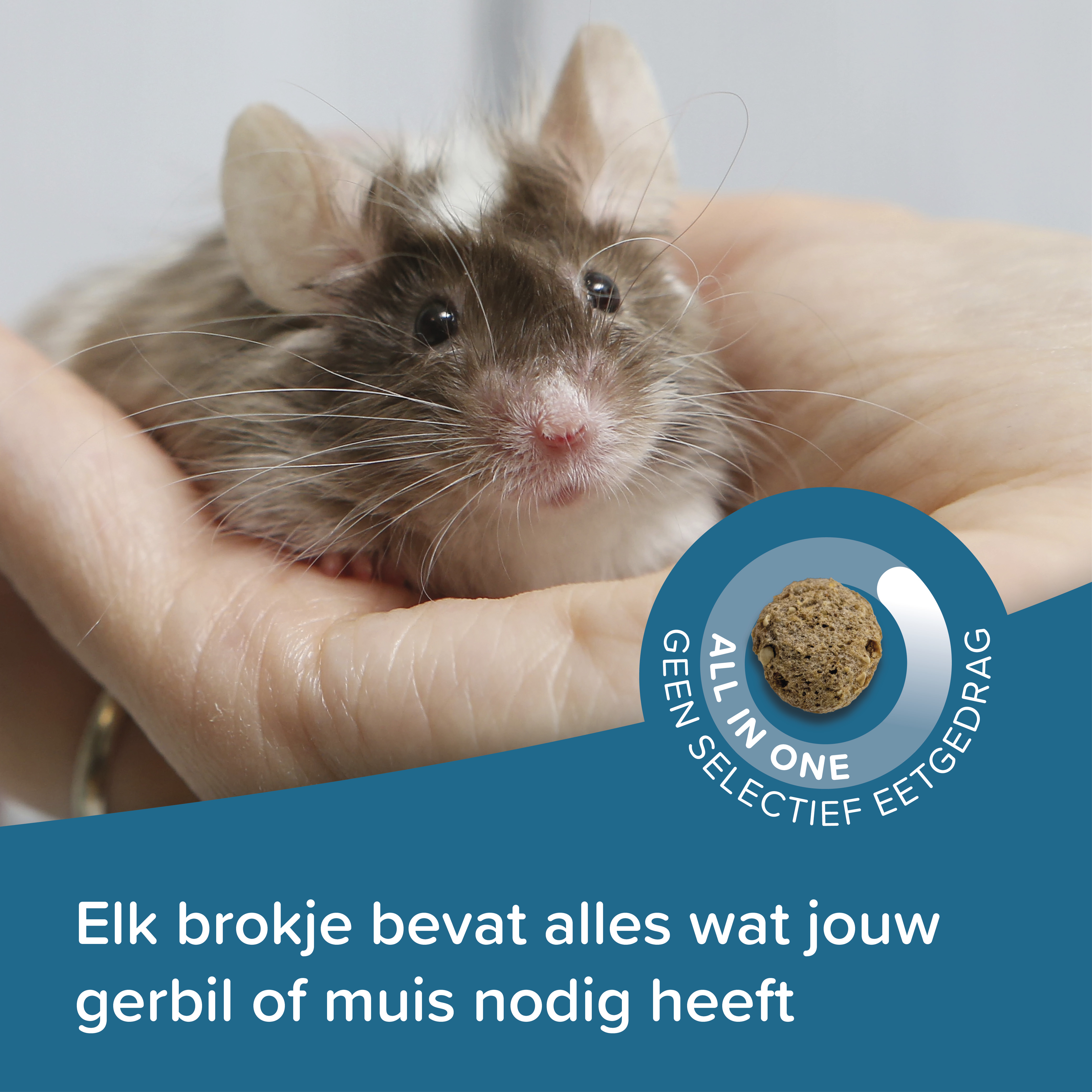 Care+ gerbil/muis 500g