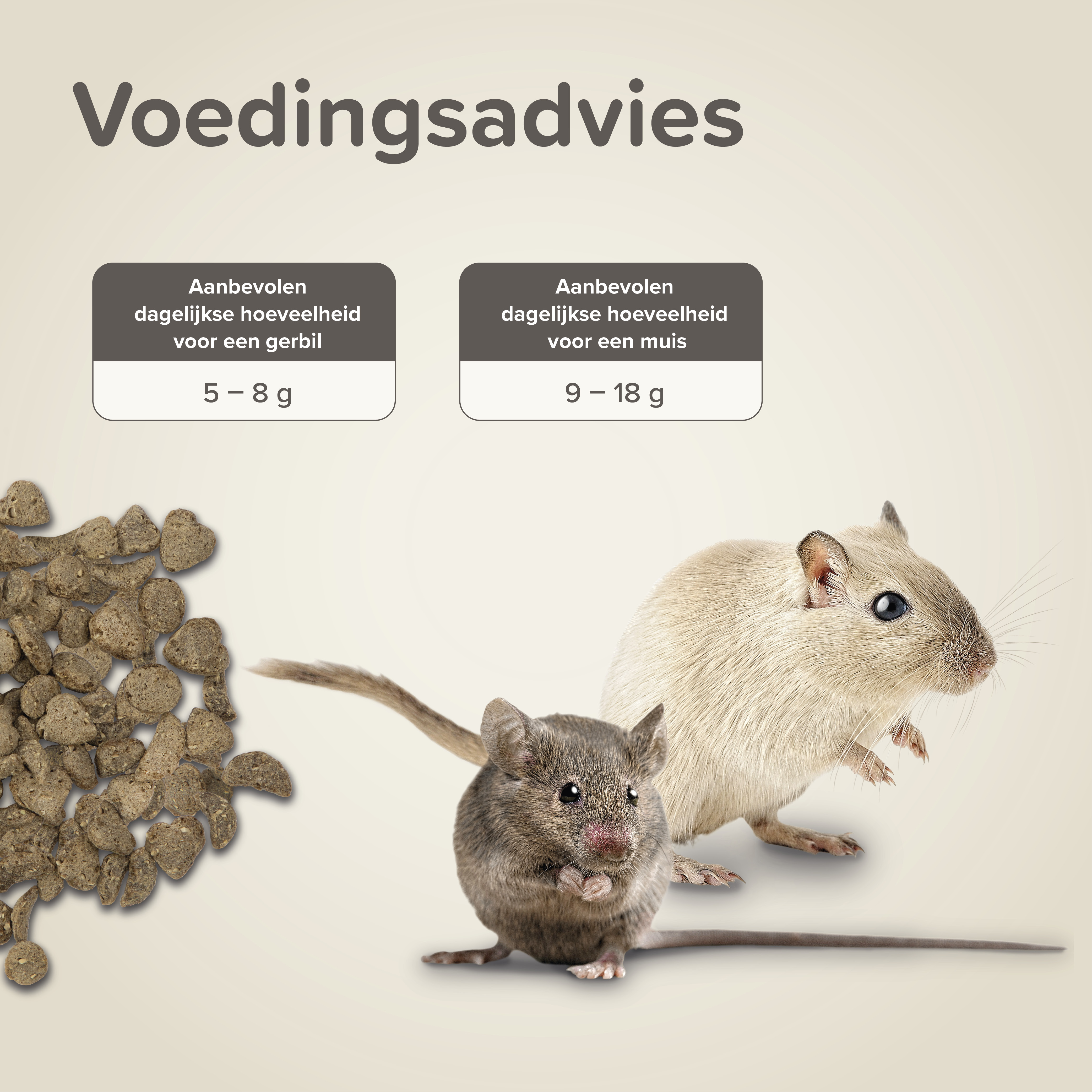 Care+ gerbil/muis 500g
