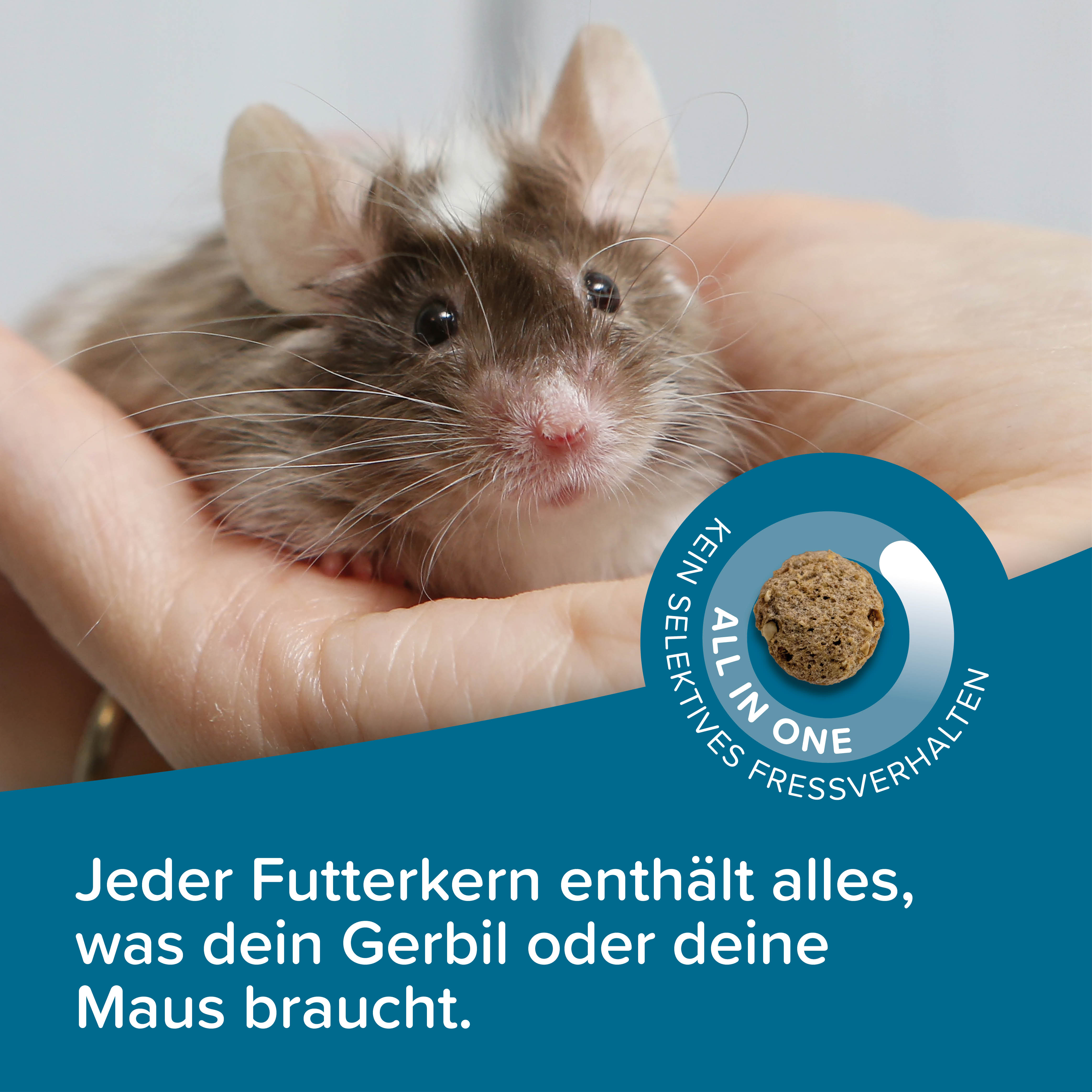 Beaphar Care+ Gerbil & Maus, 500g