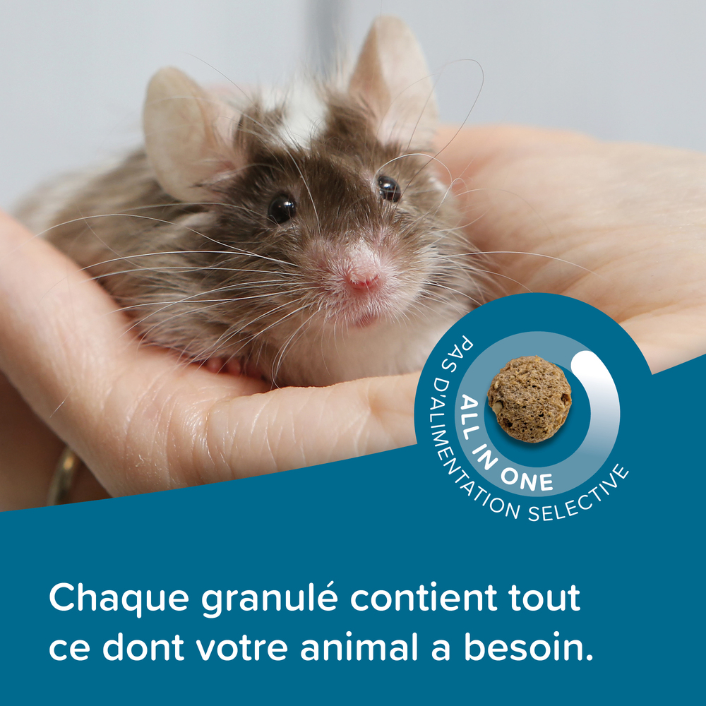 Care+®, Alimentation super premium pour Souris et gerbille – 500 g
