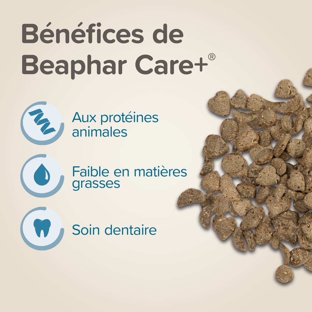 Care+®, Alimentation super premium pour Souris et gerbille – 500 g