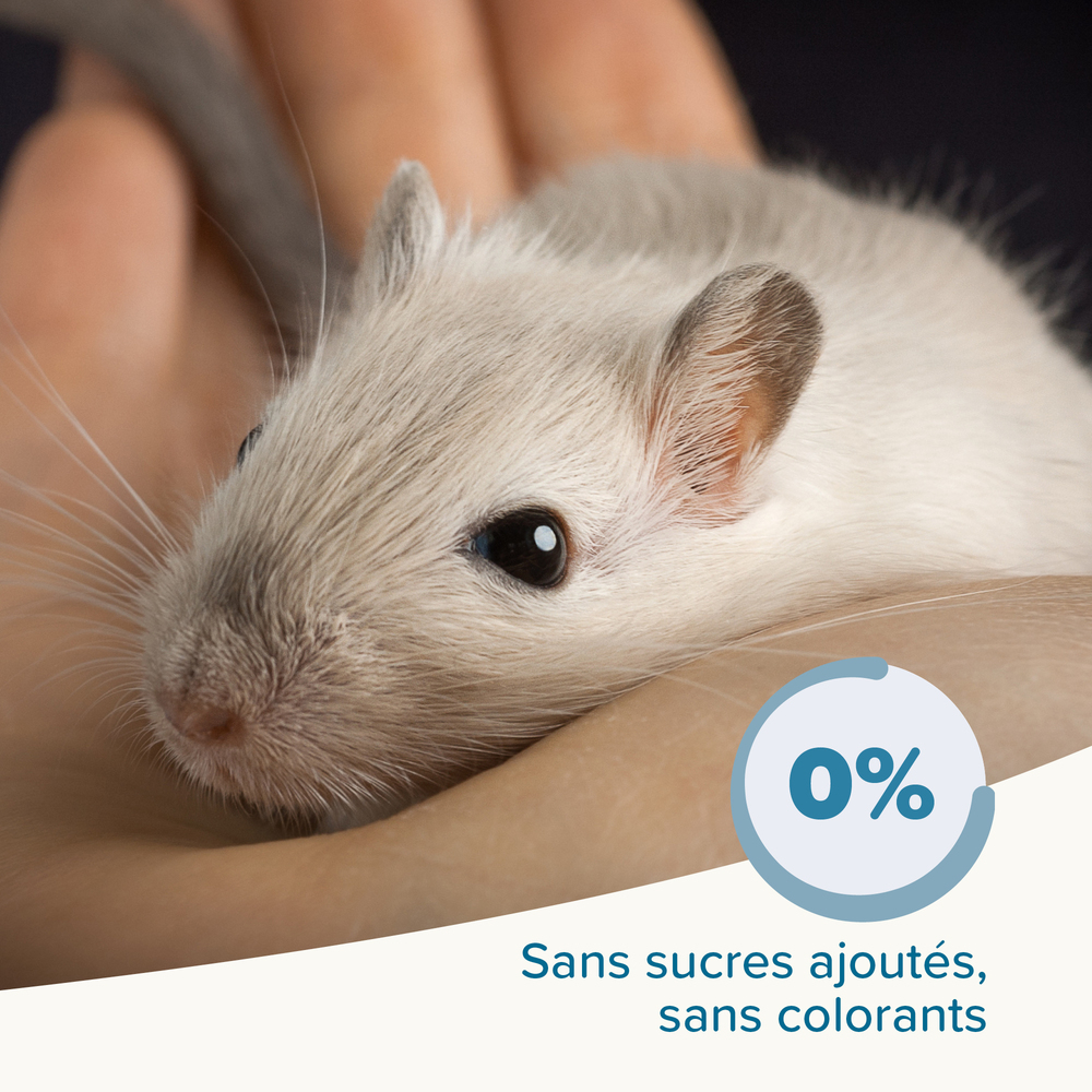 Care+®, Alimentation super premium pour Souris et gerbille – 500 g