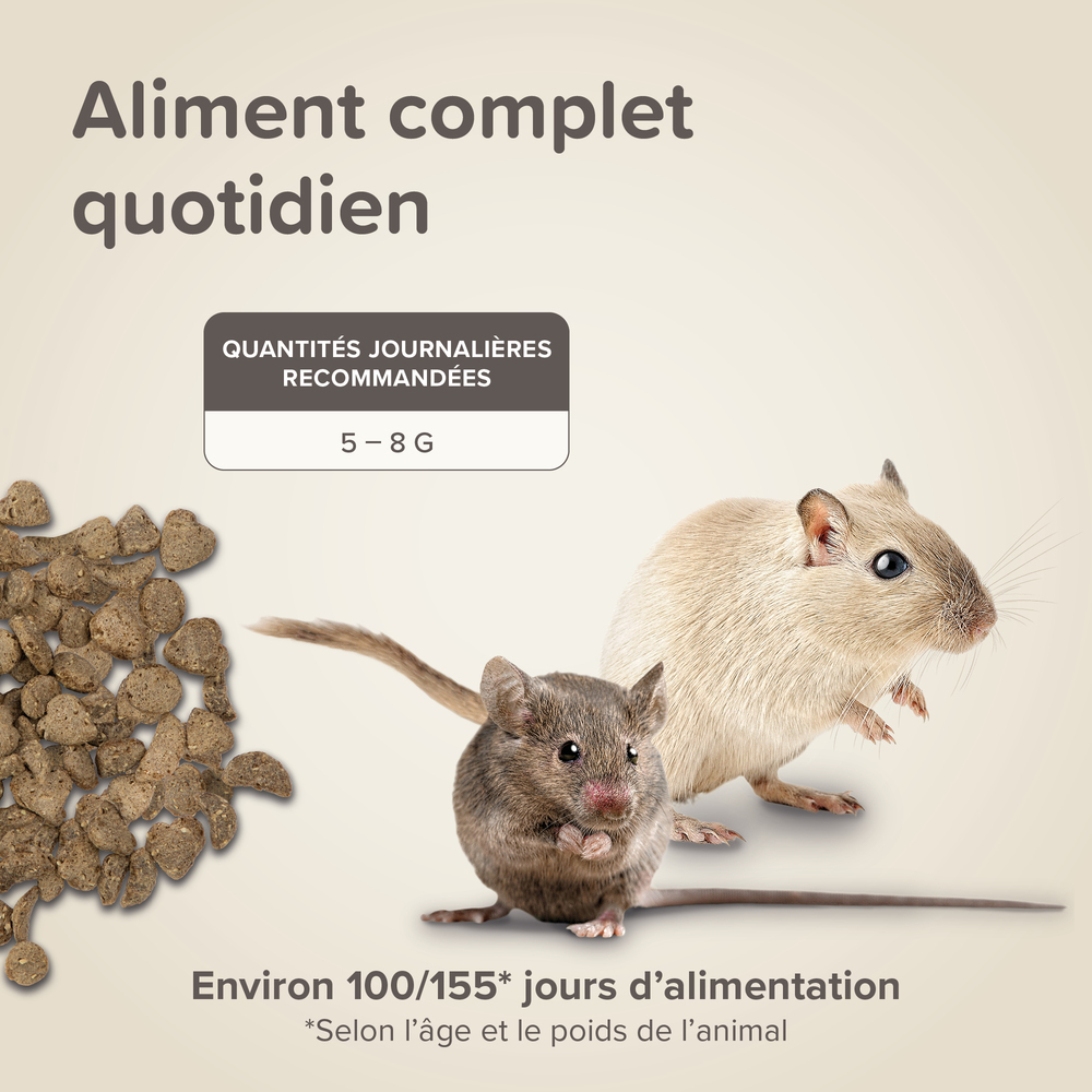 Care+®, Alimentation super premium pour Souris et gerbille – 500 g