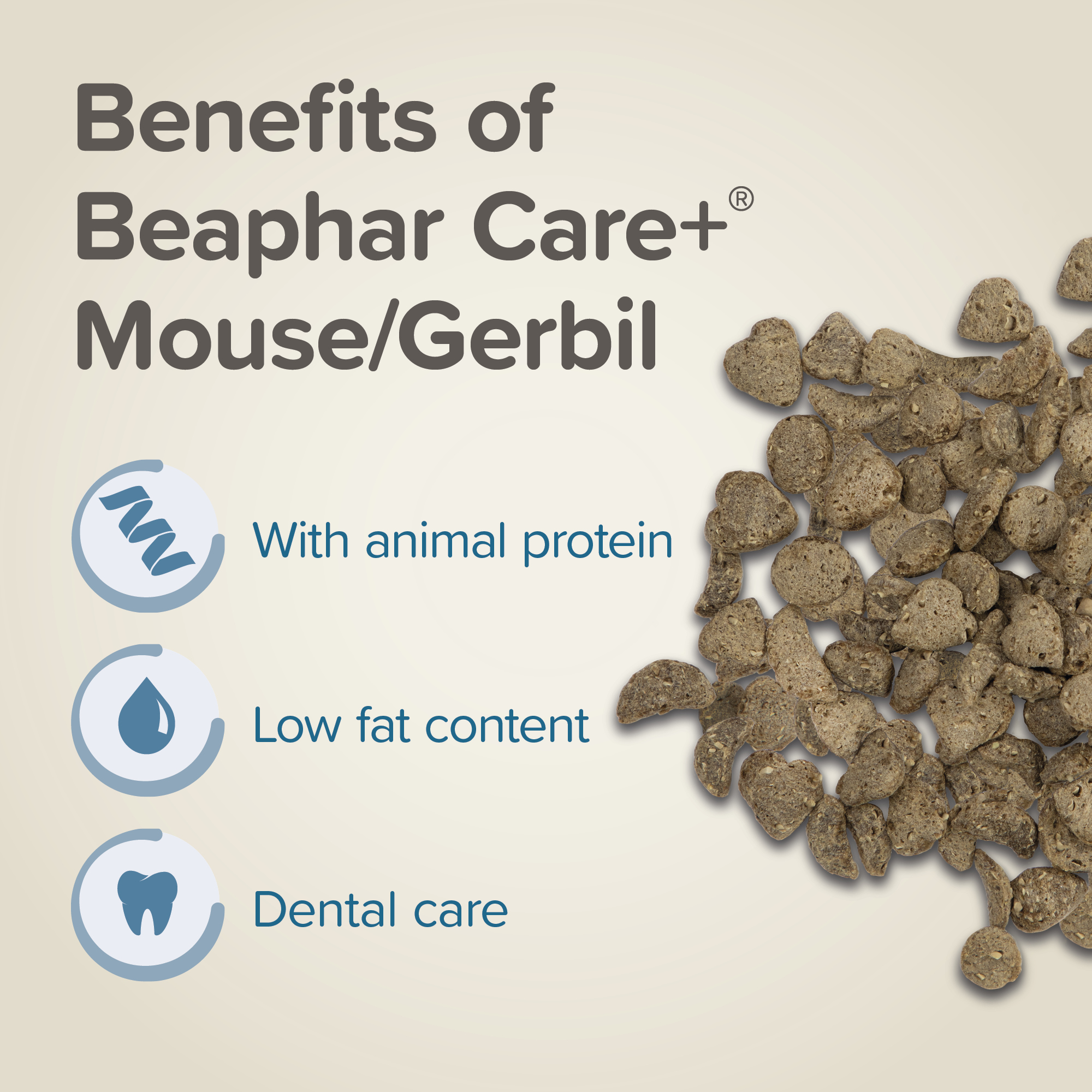 Beaphar CARE+® Mouse & Gerbil Food, 500g