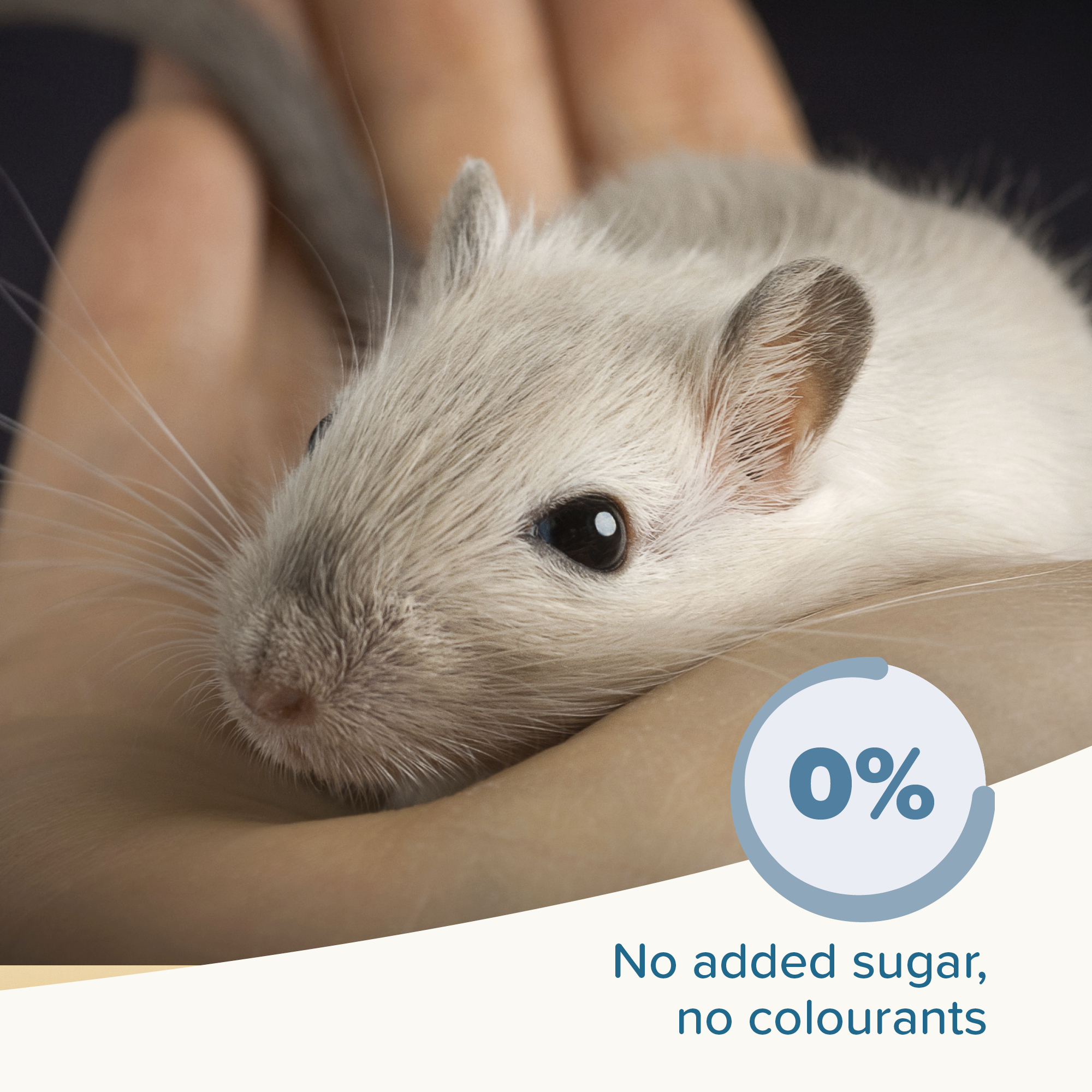 Beaphar CARE+® Mouse & Gerbil Food, 500g