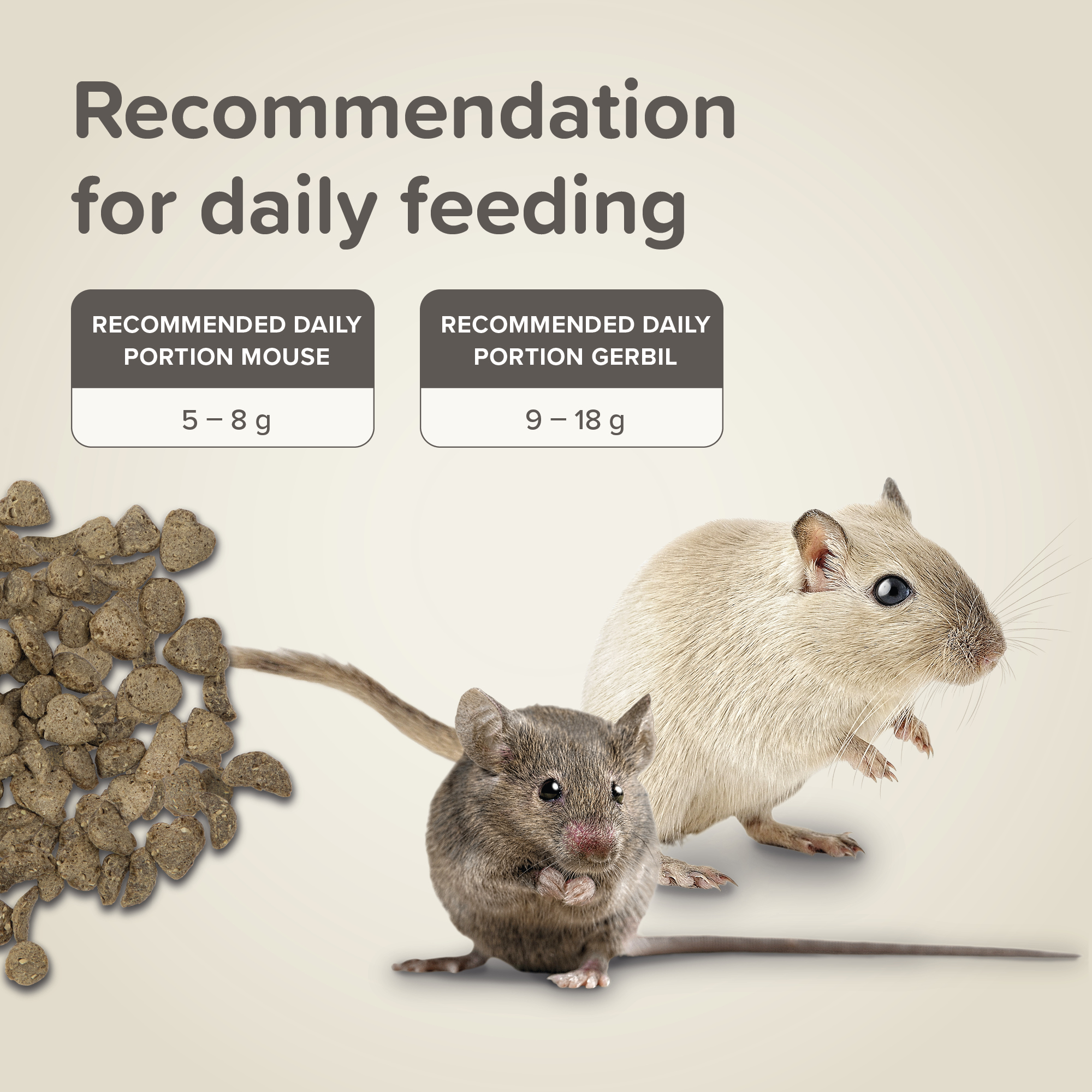 Beaphar CARE+® Mouse & Gerbil Food, 500g