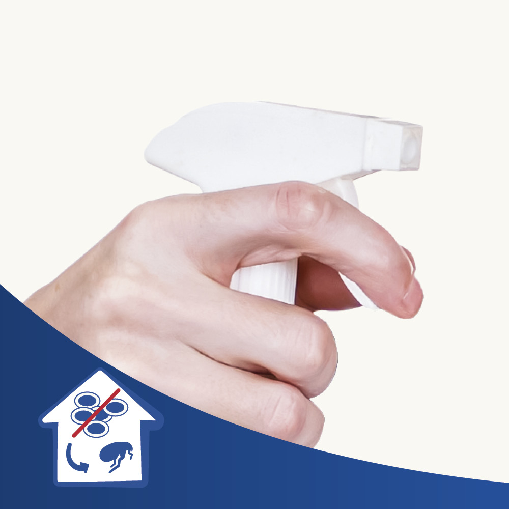 Dimethicare Ungeziefer-Zerstäuber, 500ml