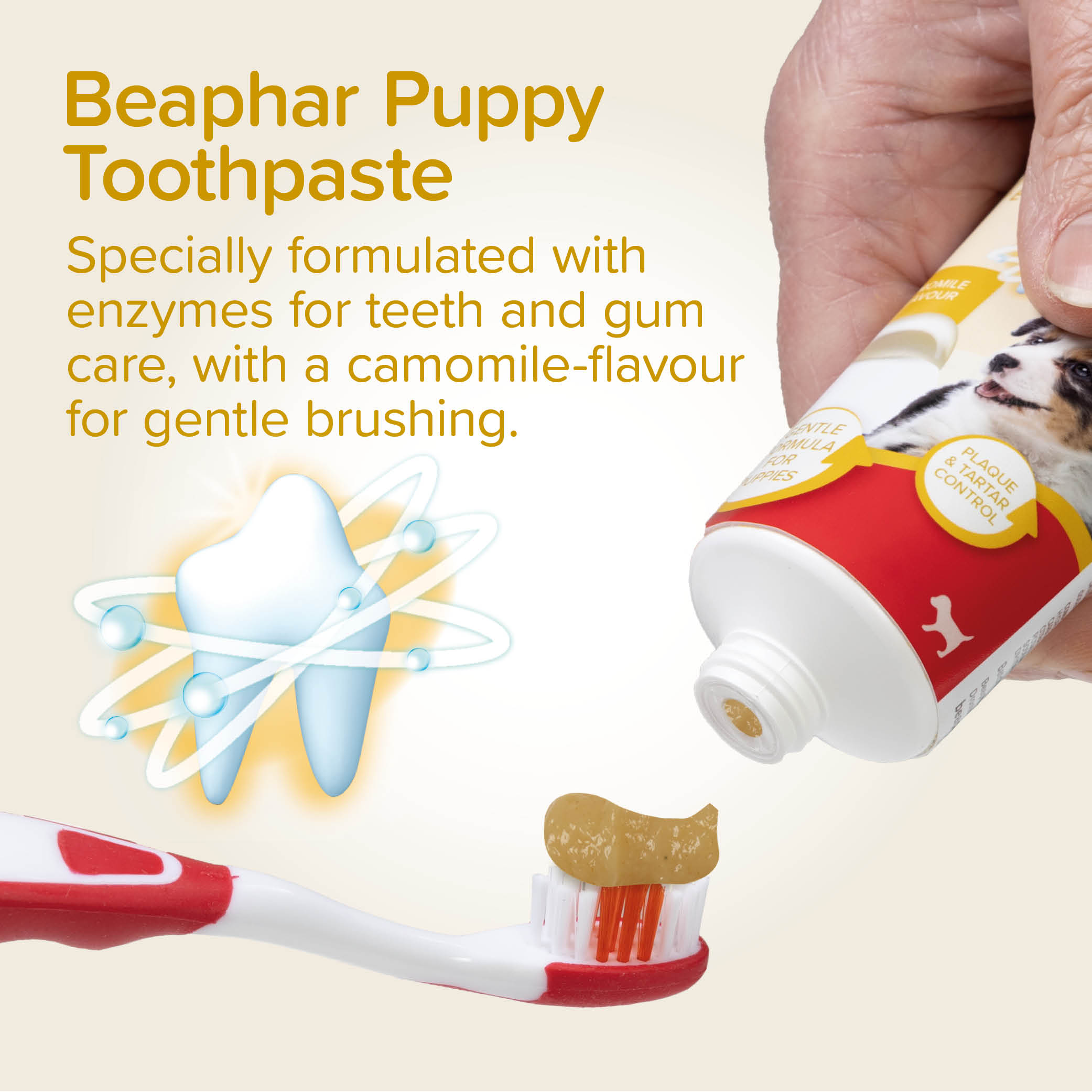 Beaphar Puppy Dental Kit