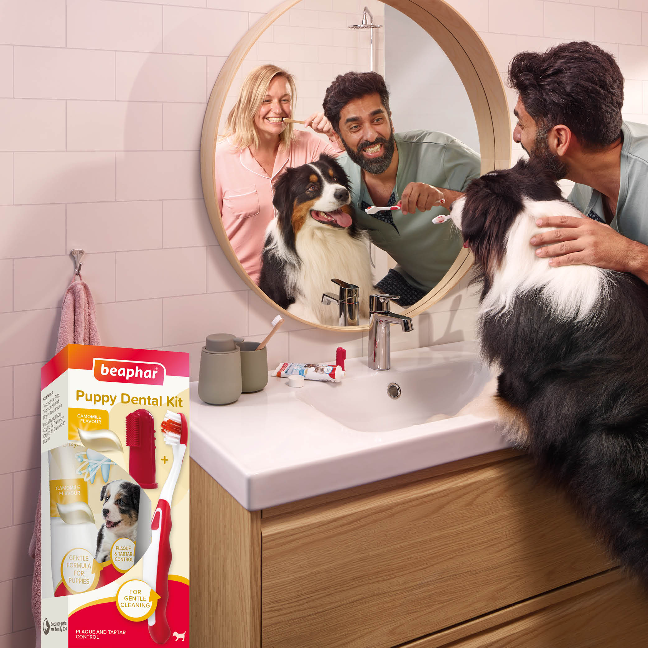 Beaphar Puppy Dental Kit