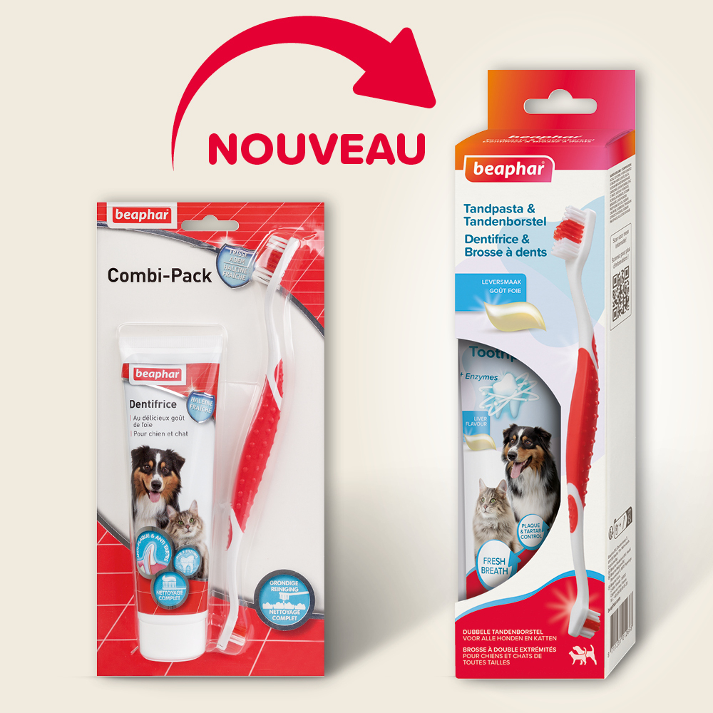 COMBI-PACK dentaire : Dentifrice + Brosse à dents
