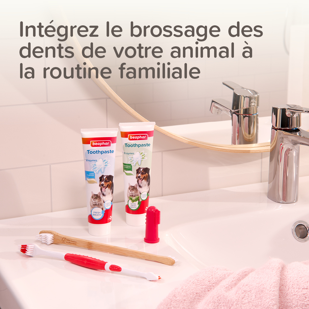 COMBI-PACK dentaire : Dentifrice + Brosse à dents