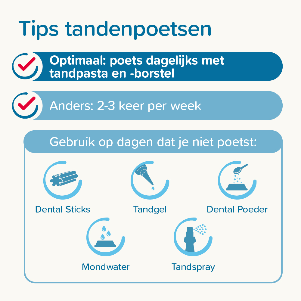 Combipack Tandpasta + Borstel