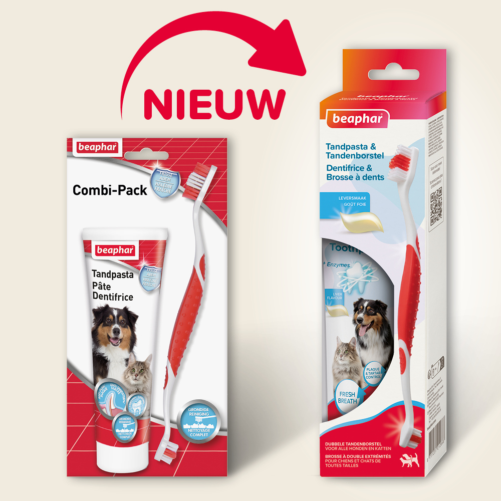 Combipack Tandpasta + Borstel