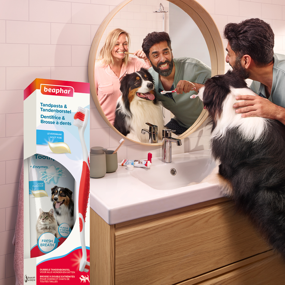 Combipack Tandpasta + Borstel