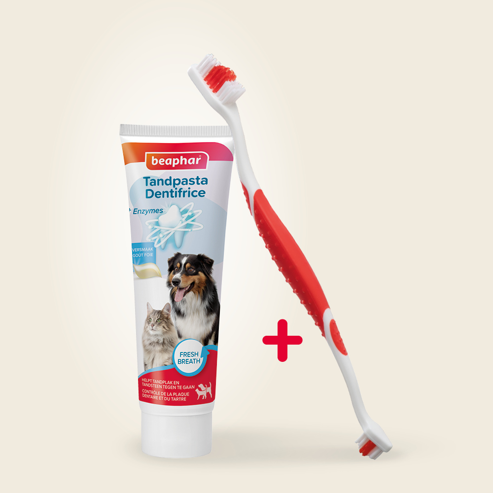 Combipack Tandpasta + Borstel