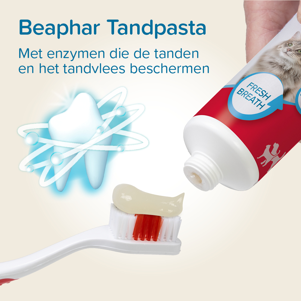 Combipack Tandpasta + Borstel