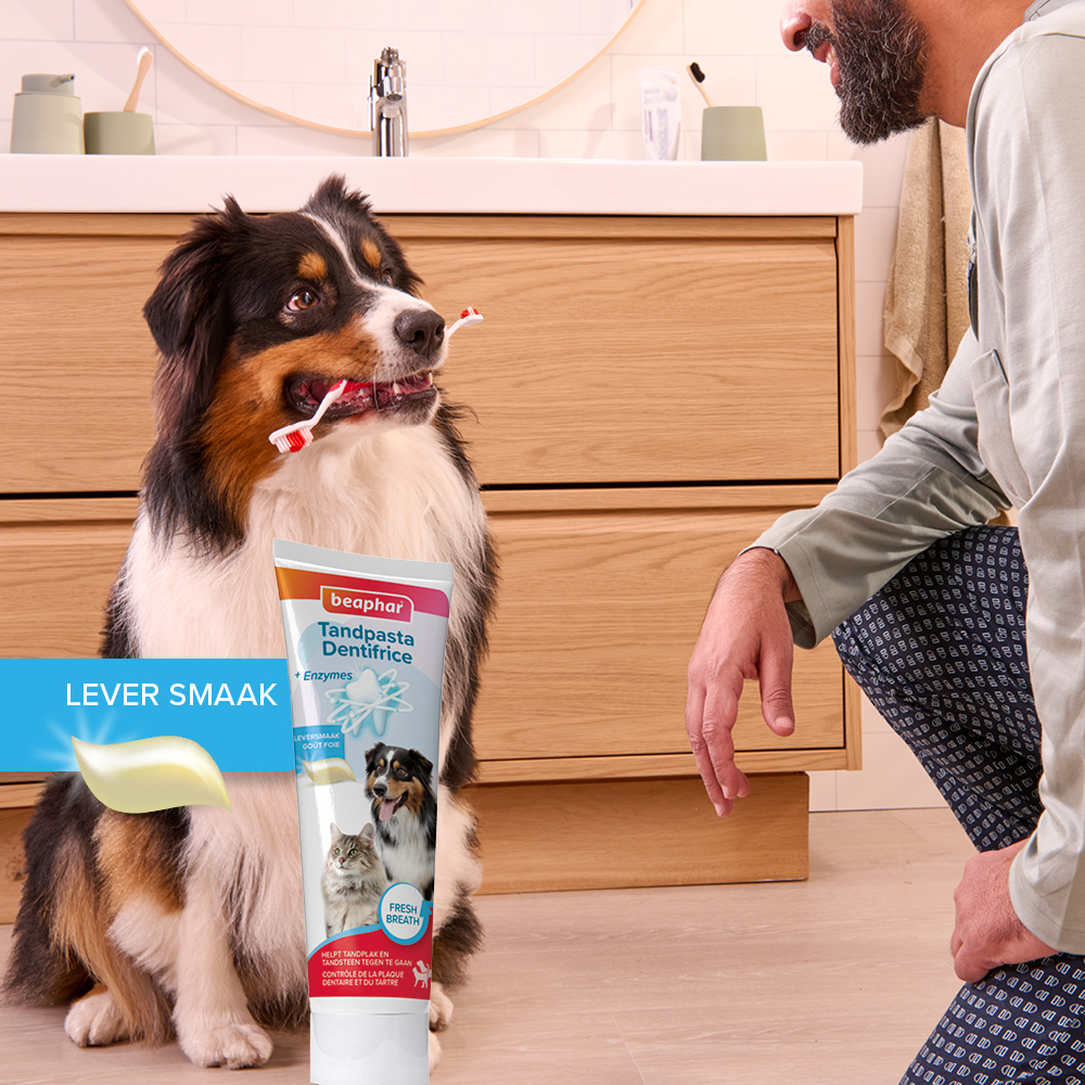 Combipack Tandpasta + Borstel