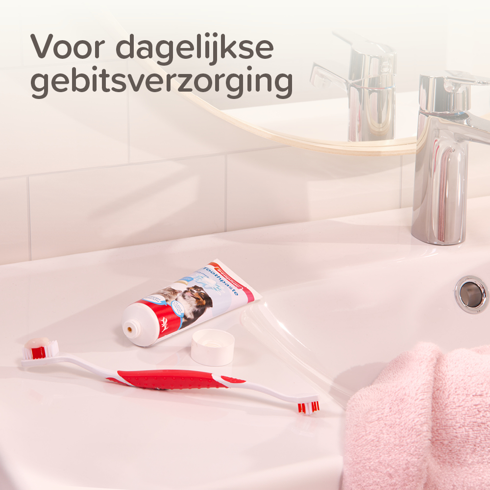 Combipack Tandpasta + Borstel