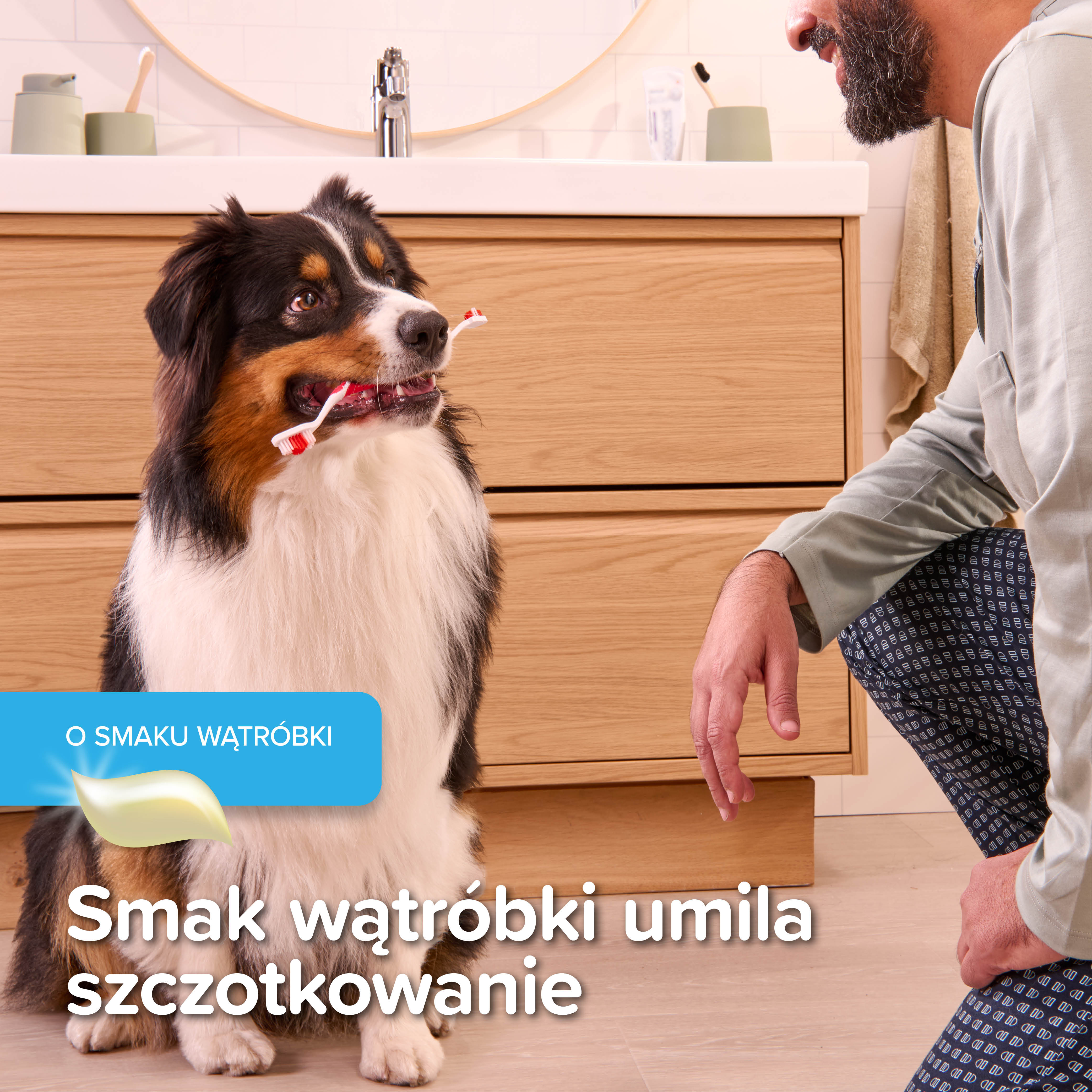 TOOTH COMBIPACK  - zestaw: pasta do zębów 100g + szczoteczka dla dorosłego psa/kota