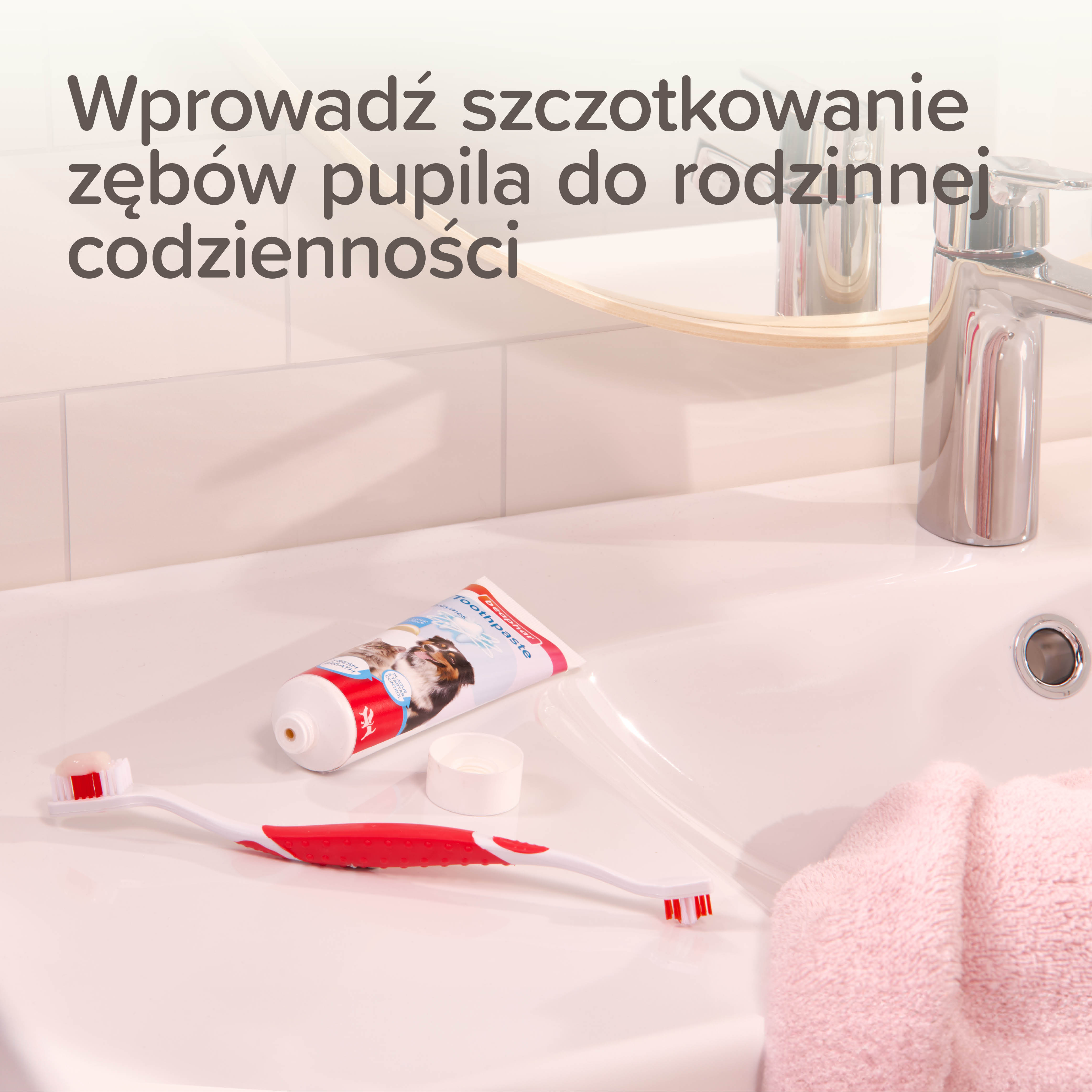 TOOTH COMBIPACK  - zestaw: pasta do zębów 100g + szczoteczka dla dorosłego psa/kota