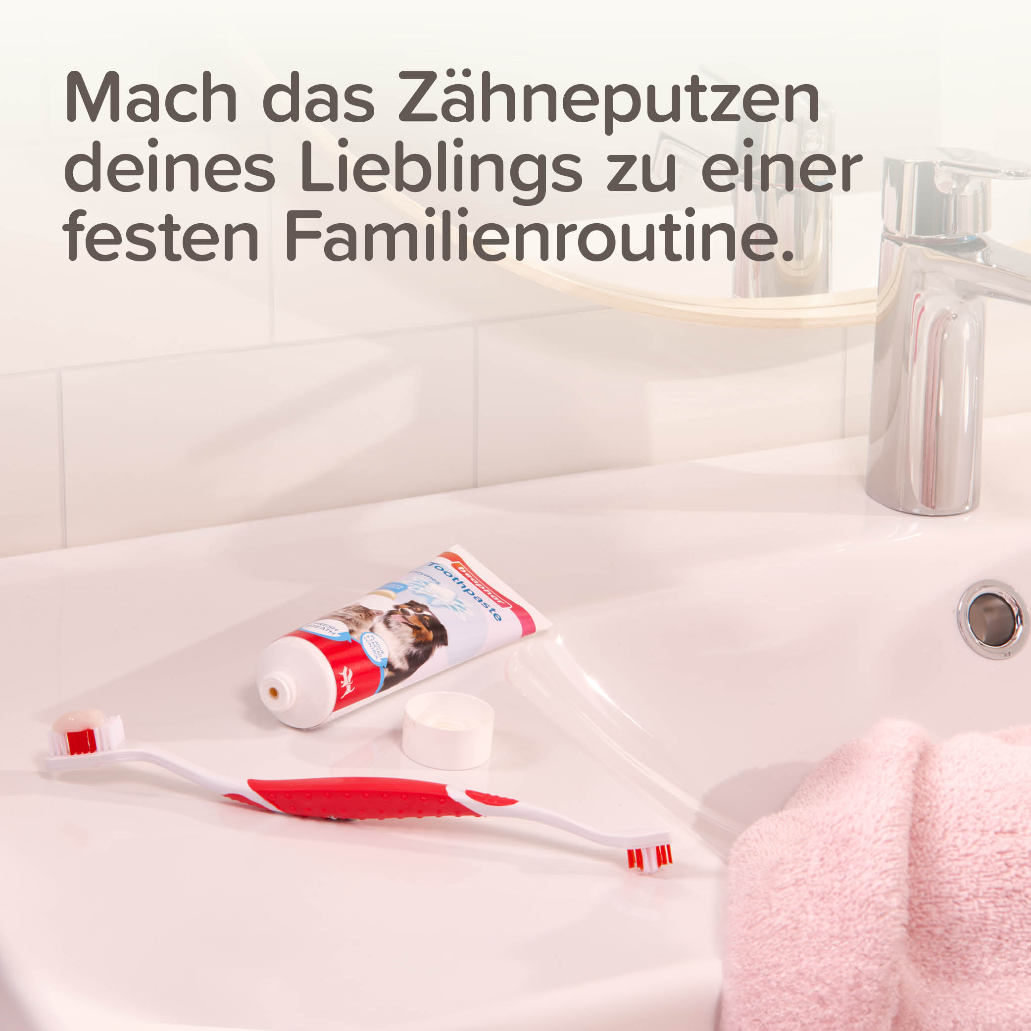 Beaphar Zahnpflege Set (Zahnpasta & Bürste)