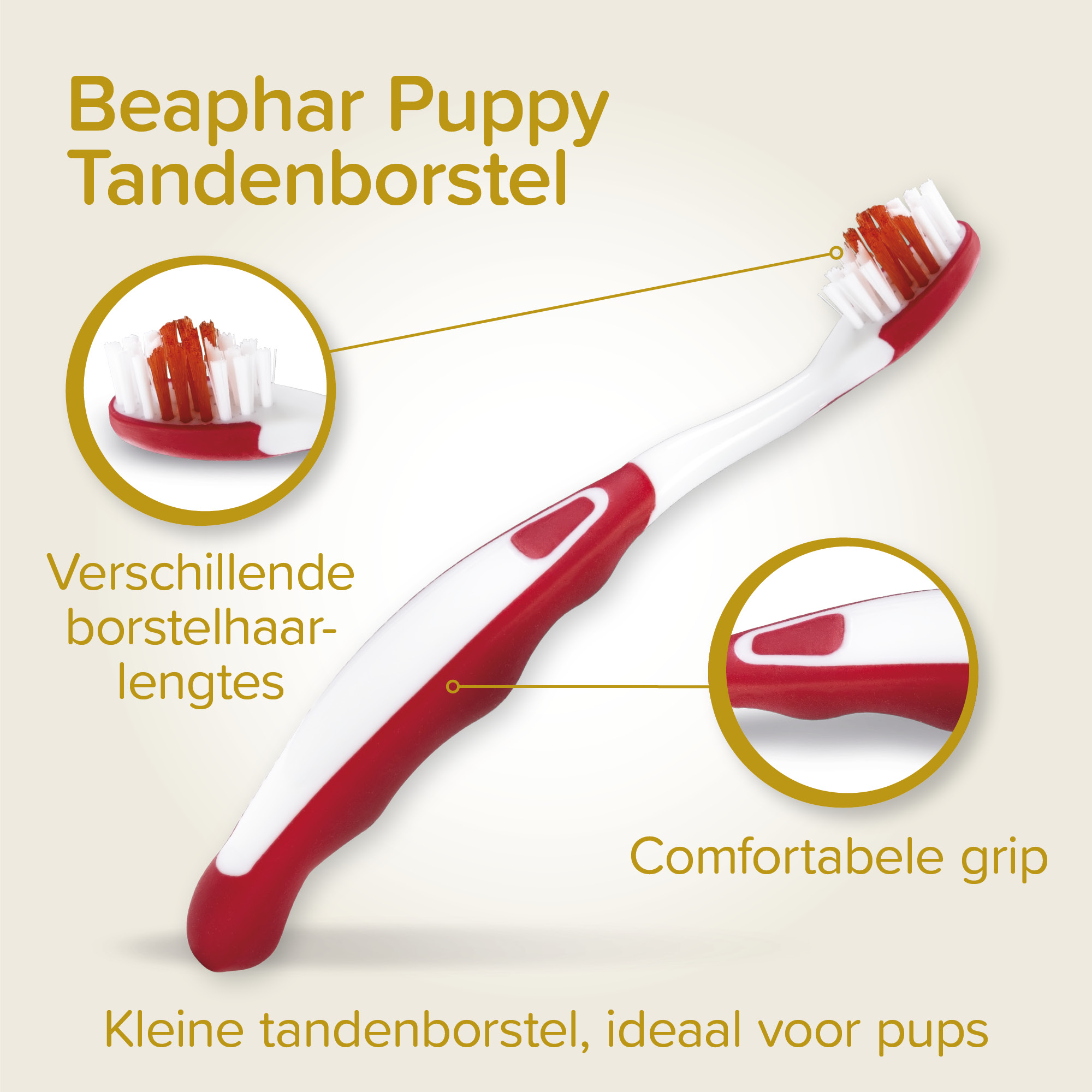 Combipack Puppy (tandpasta + 2 borstels)