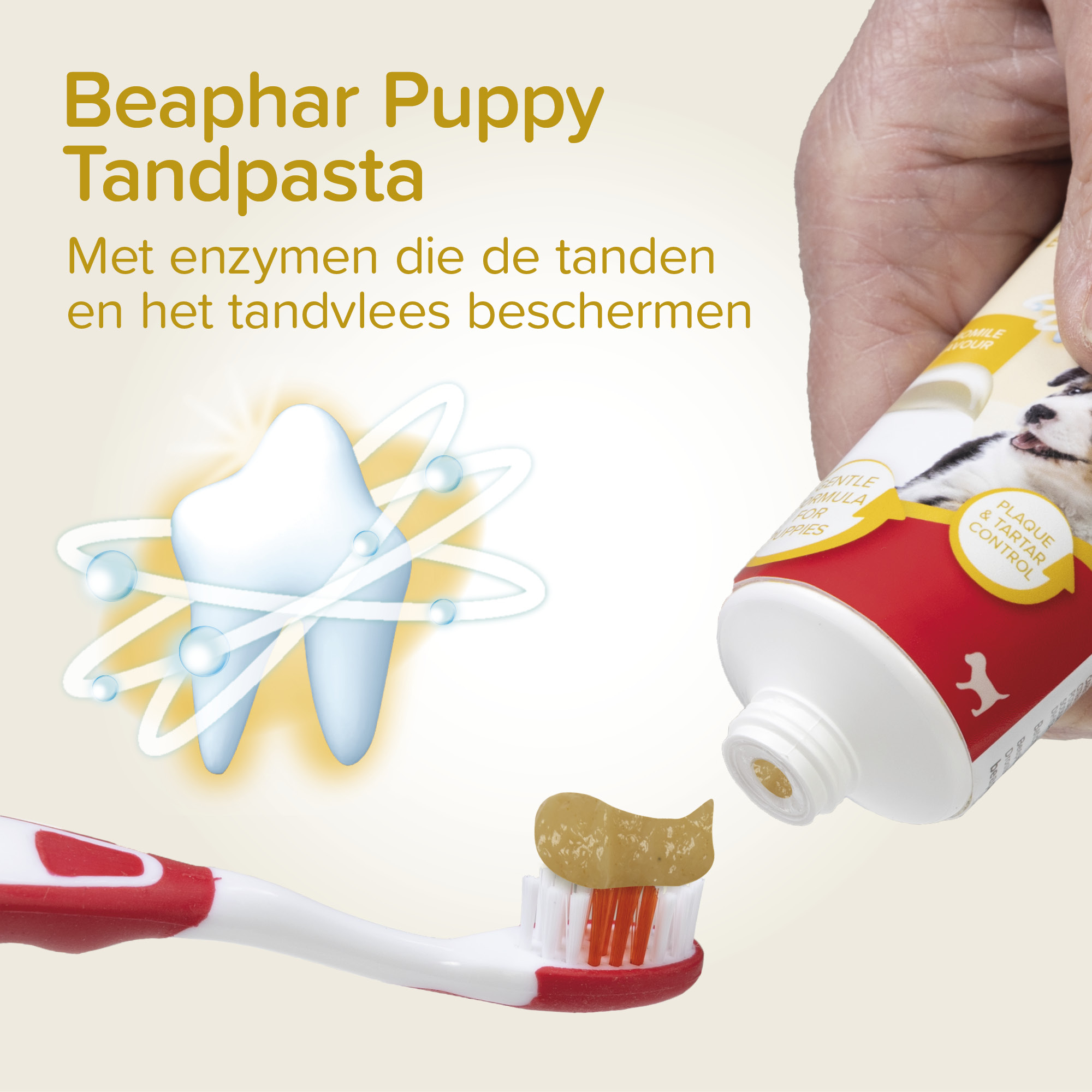 Combipack Puppy (tandpasta + 2 borstels)