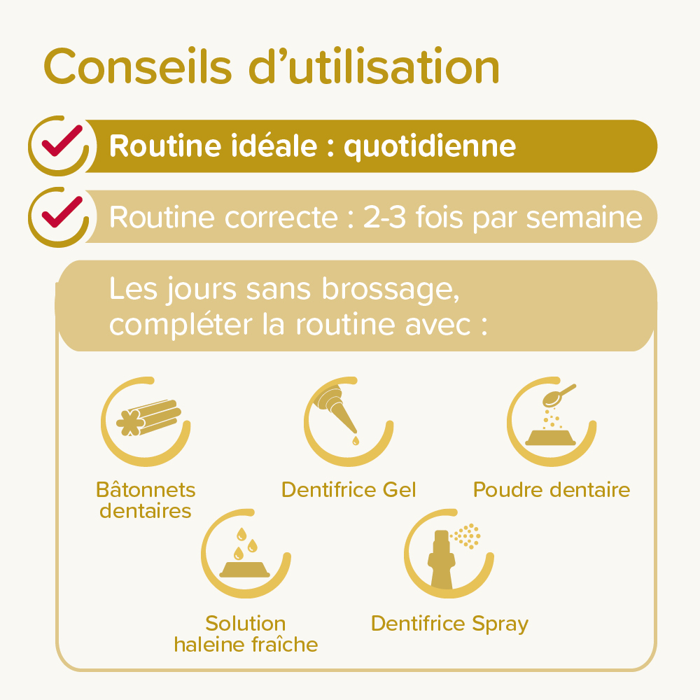 COMBI-PACK dentaire Chiot : dentifrice + 2 brosses à dents