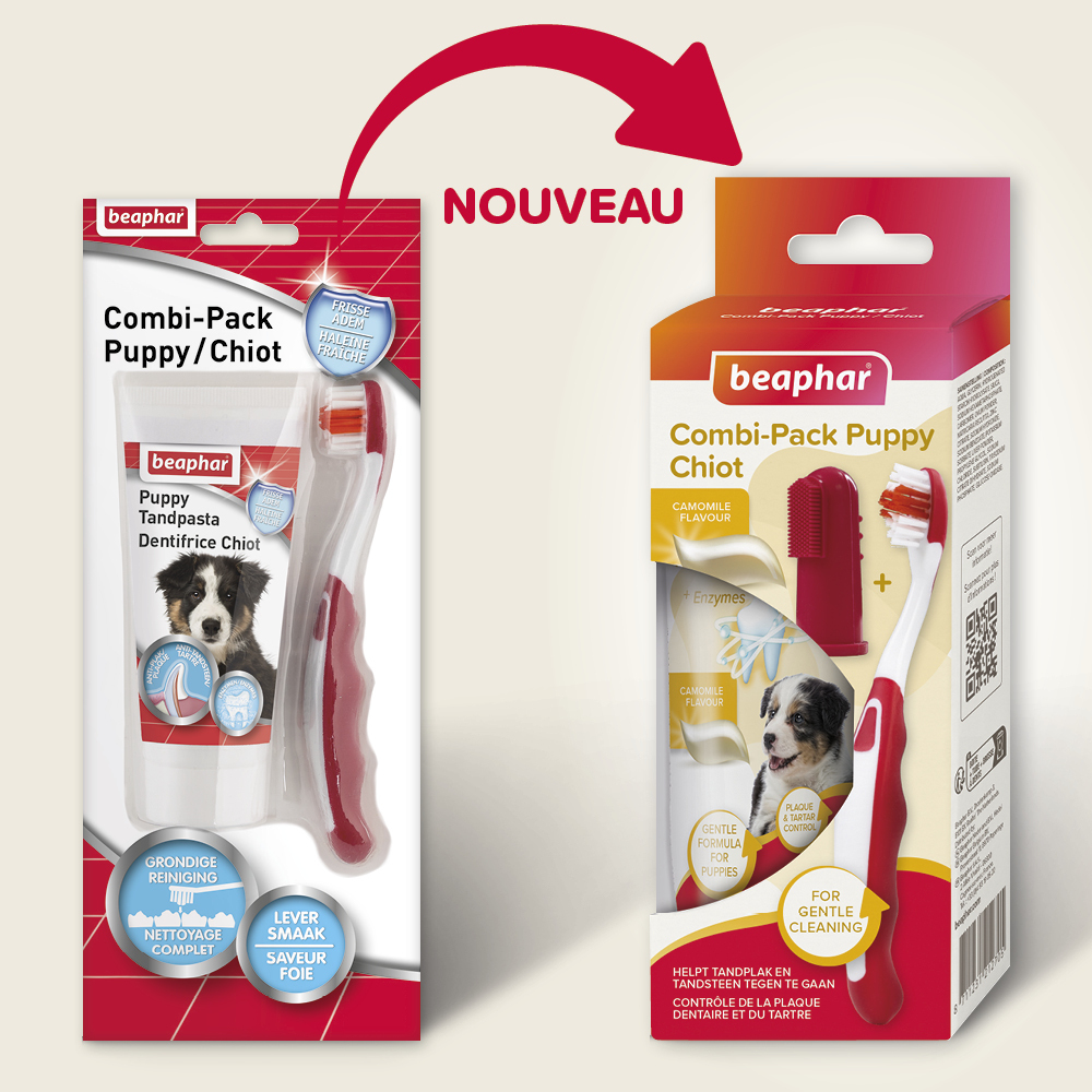 COMBI-PACK dentaire Chiot : dentifrice + 2 brosses à dents