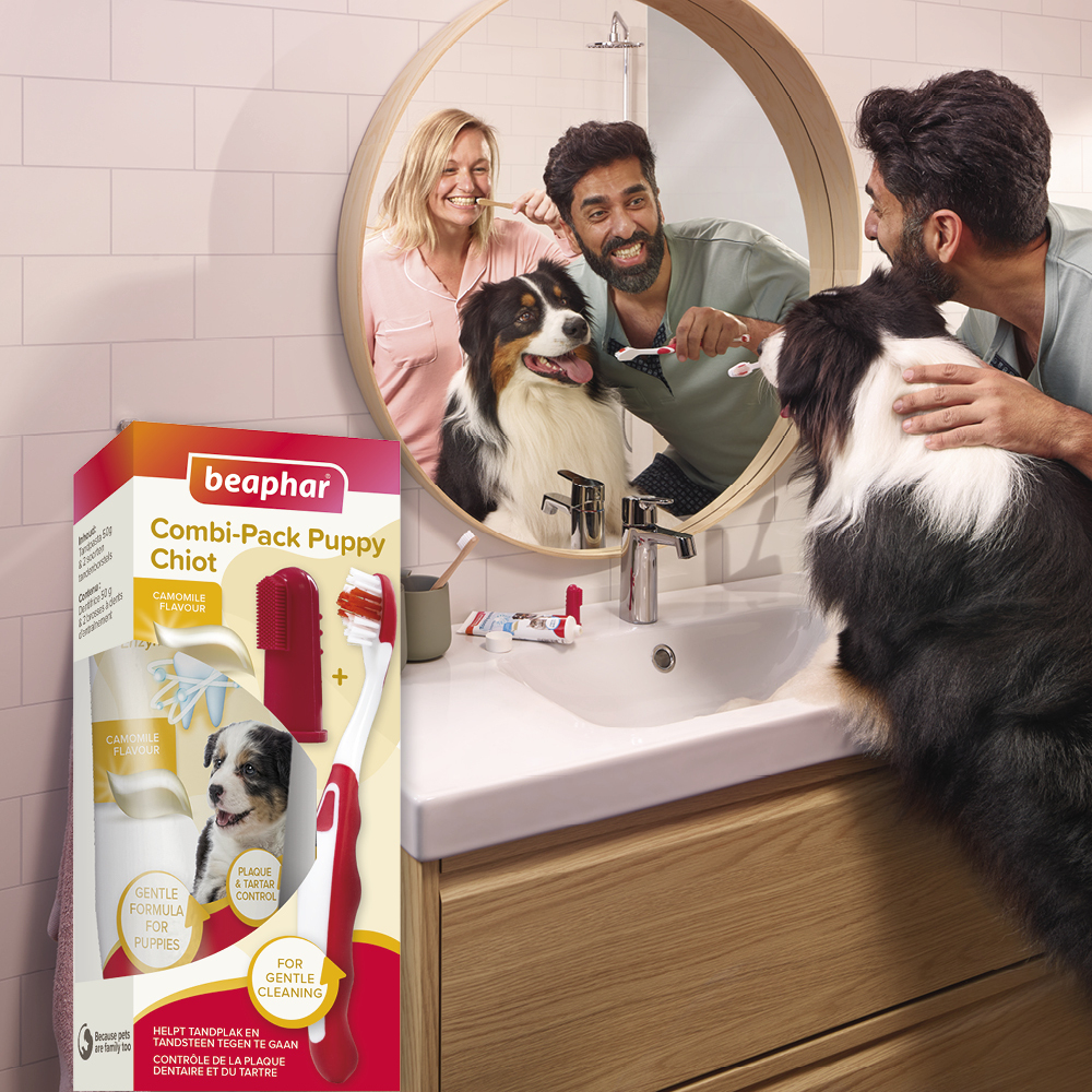 COMBI-PACK dentaire Chiot : dentifrice + 2 brosses à dents
