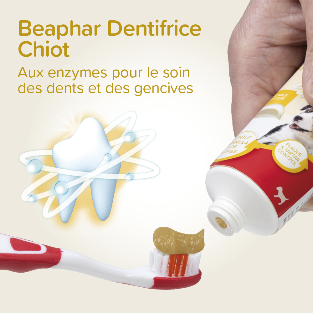 COMBI-PACK dentaire Chiot : dentifrice + 2 brosses à dents