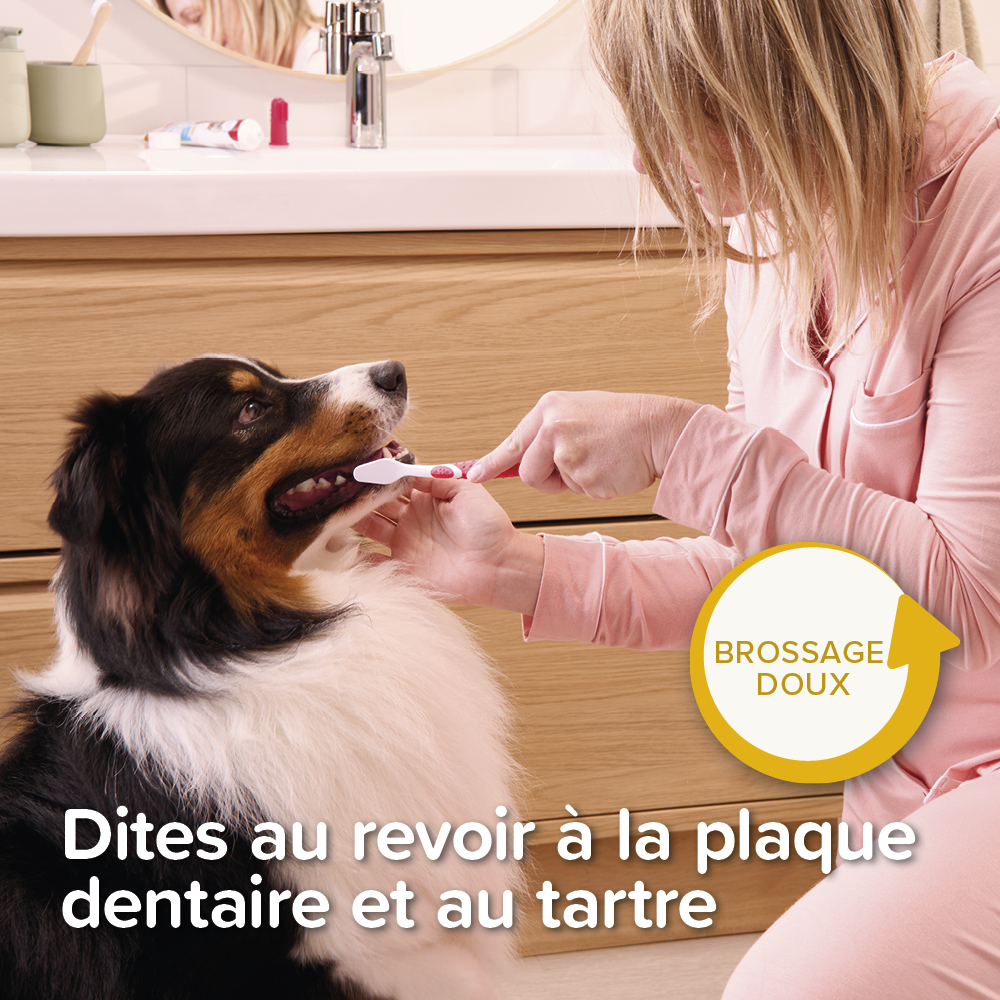 COMBI-PACK dentaire Chiot : dentifrice + 2 brosses à dents