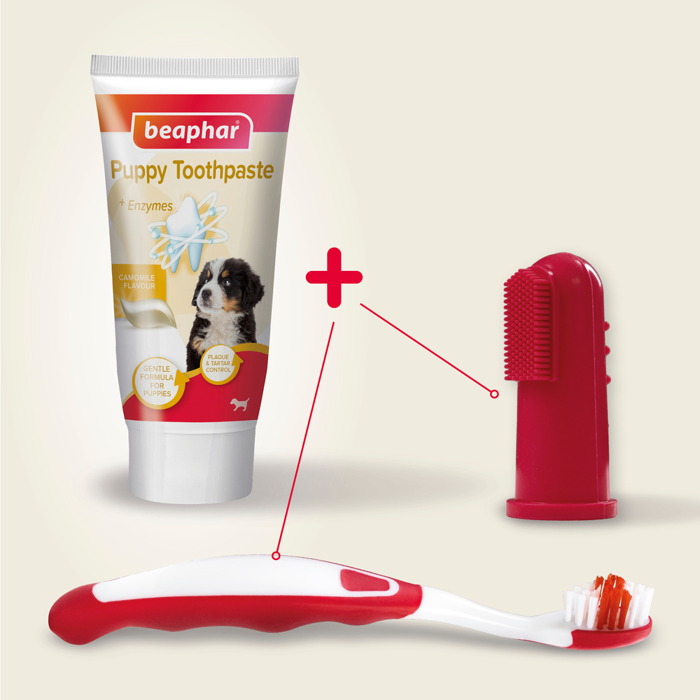 COMBI-PACK dentaire Chiot : dentifrice + 2 brosses à dents